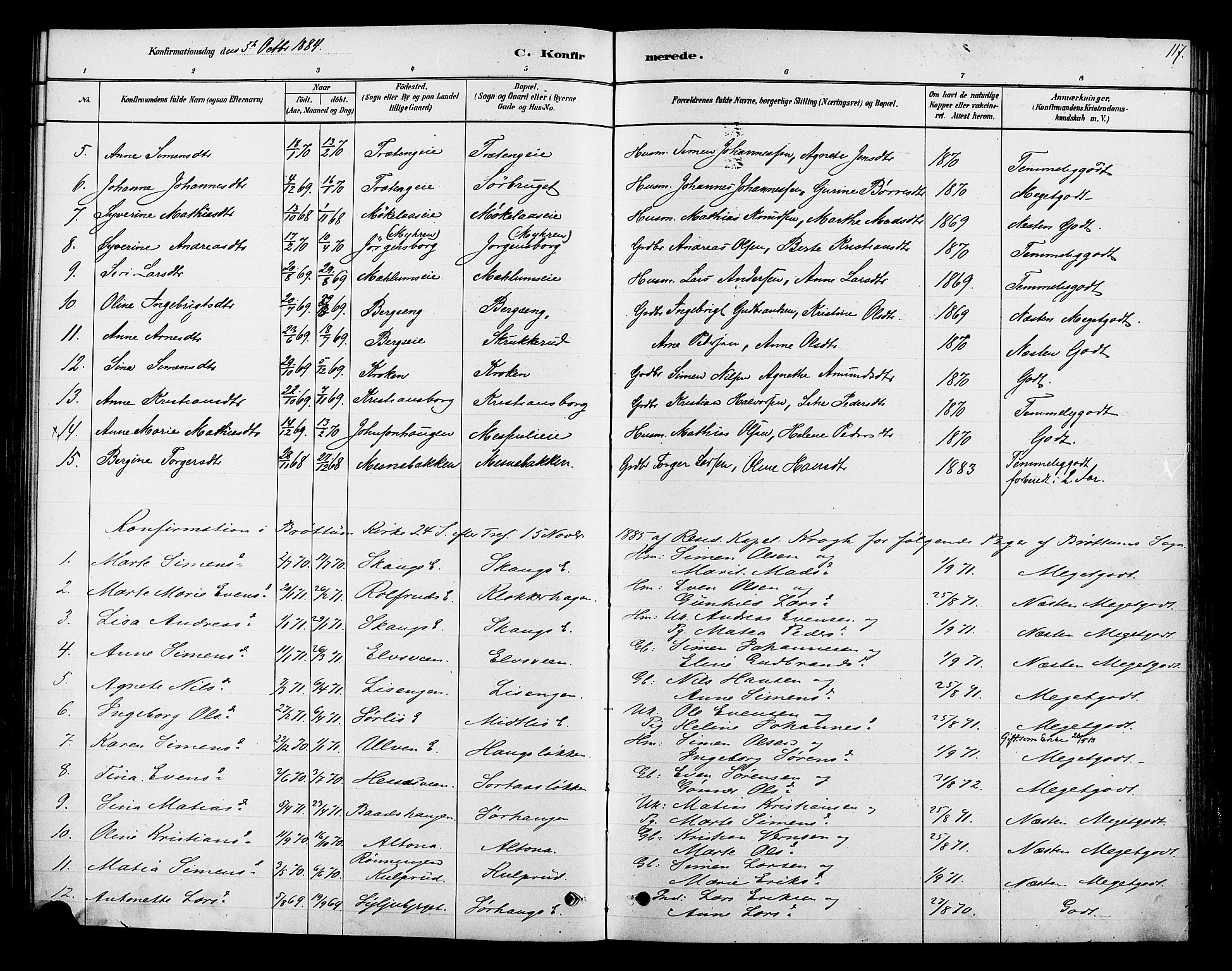 Ringsaker prestekontor, SAH/PREST-014/K/Ka/L0013: Parish register (official) no. 13, 1879-1890, p. 117