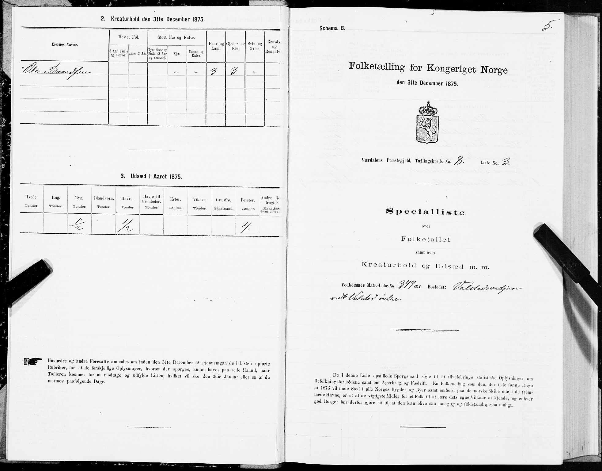 SAT, 1875 census for 1721P Verdal, 1875, p. 5005