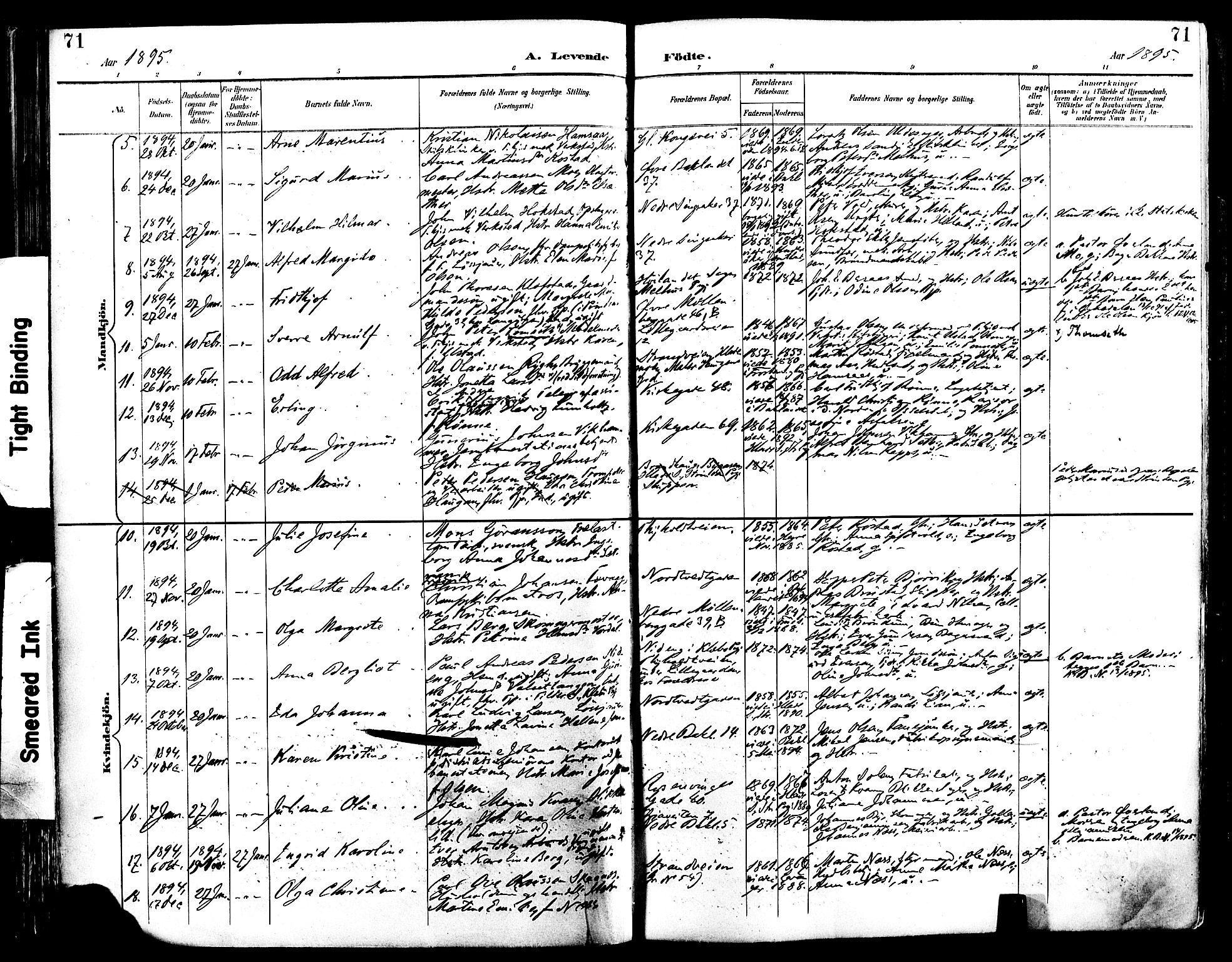 Ministerialprotokoller, klokkerbøker og fødselsregistre - Sør-Trøndelag, SAT/A-1456/604/L0197: Parish register (official) no. 604A18, 1893-1900, p. 71