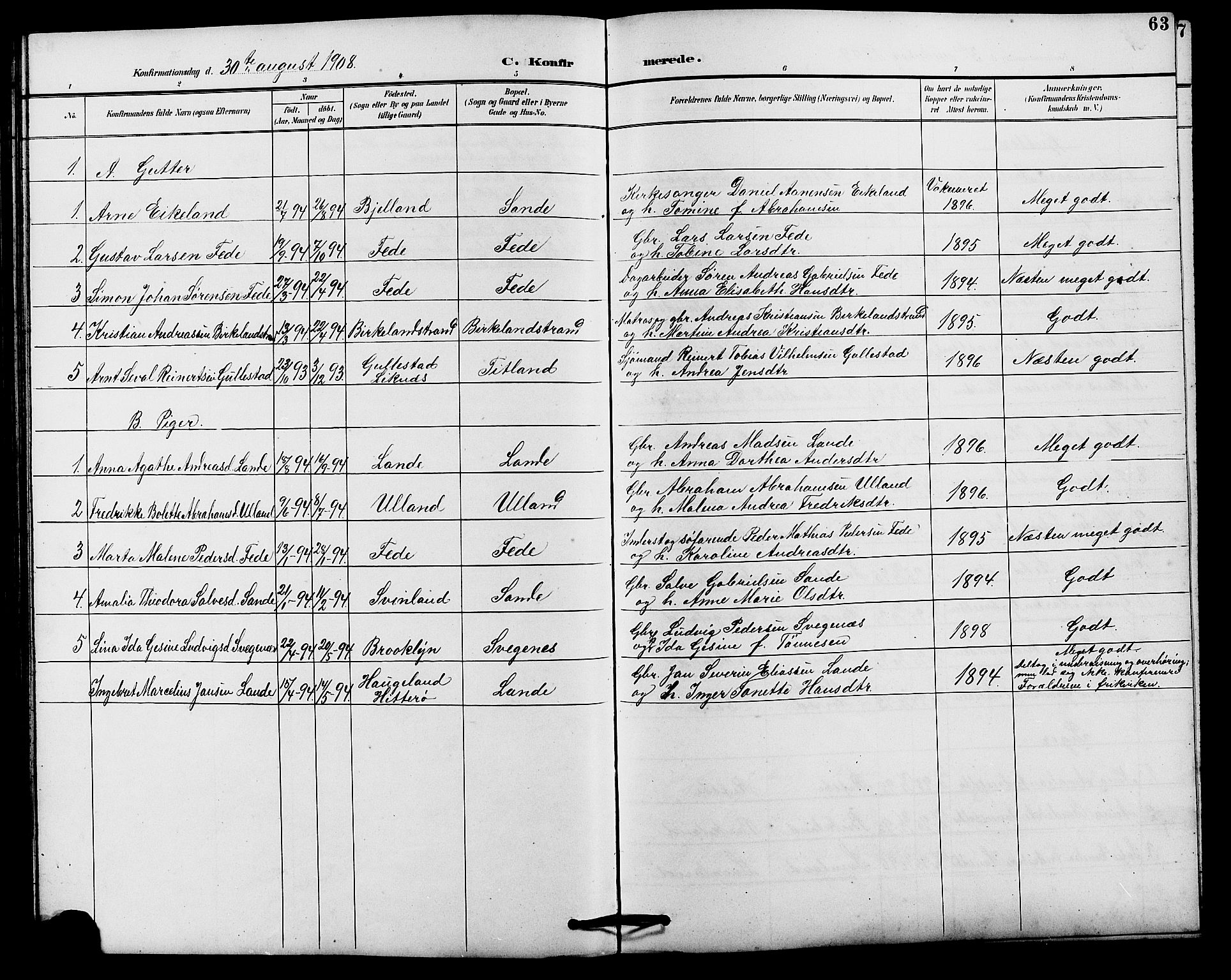 Kvinesdal sokneprestkontor, AV/SAK-1111-0026/F/Fb/Fba/L0004: Parish register (copy) no. B 4, 1894-1909, p. 63