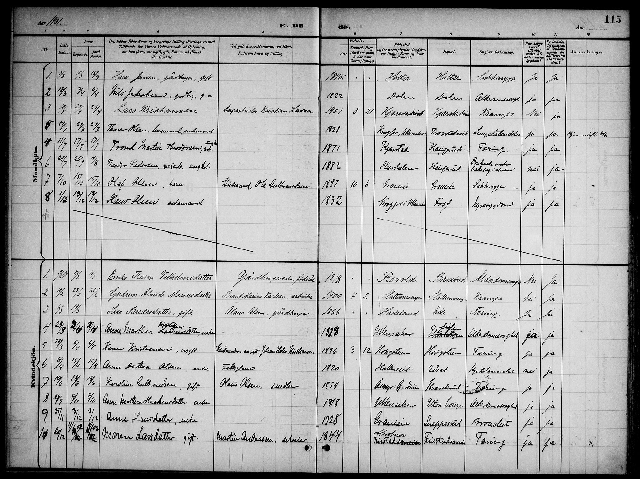 Nannestad prestekontor Kirkebøker, SAO/A-10414a/G/Gb/L0001: Parish register (copy) no. II 1, 1901-1917, p. 115