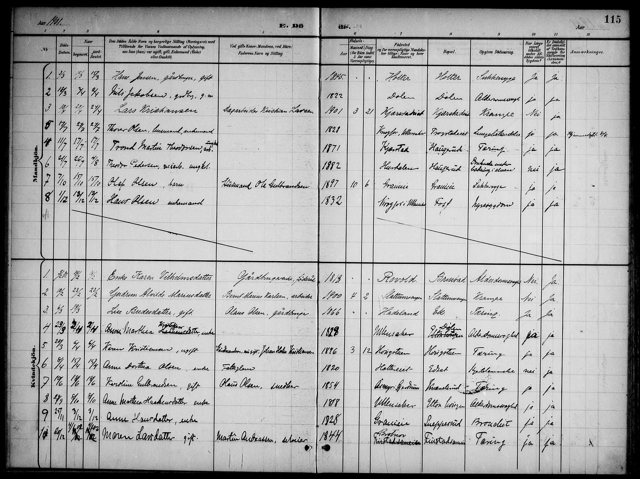 Nannestad prestekontor Kirkebøker, AV/SAO-A-10414a/G/Gb/L0001: Parish register (copy) no. II 1, 1901-1917, p. 115