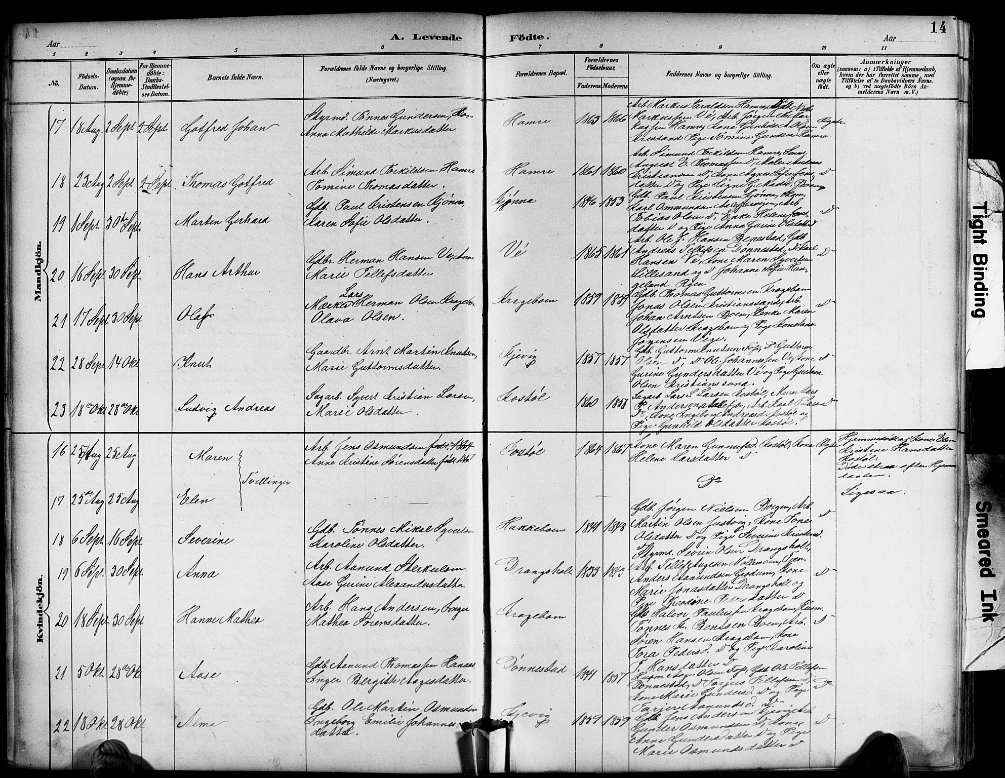 Tveit sokneprestkontor, SAK/1111-0043/F/Fb/L0004: Parish register (copy) no. B 4, 1887-1914, p. 14