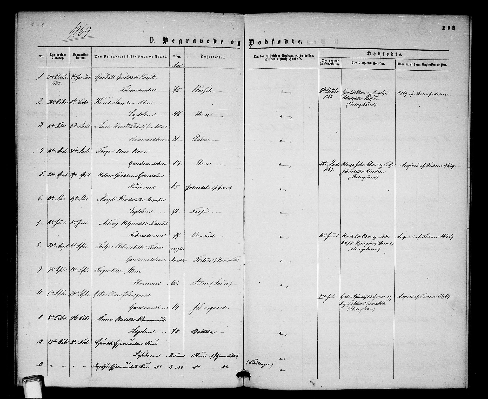 Gransherad kirkebøker, SAKO/A-267/G/Gb/L0002: Parish register (copy) no. II 2, 1860-1886, p. 203