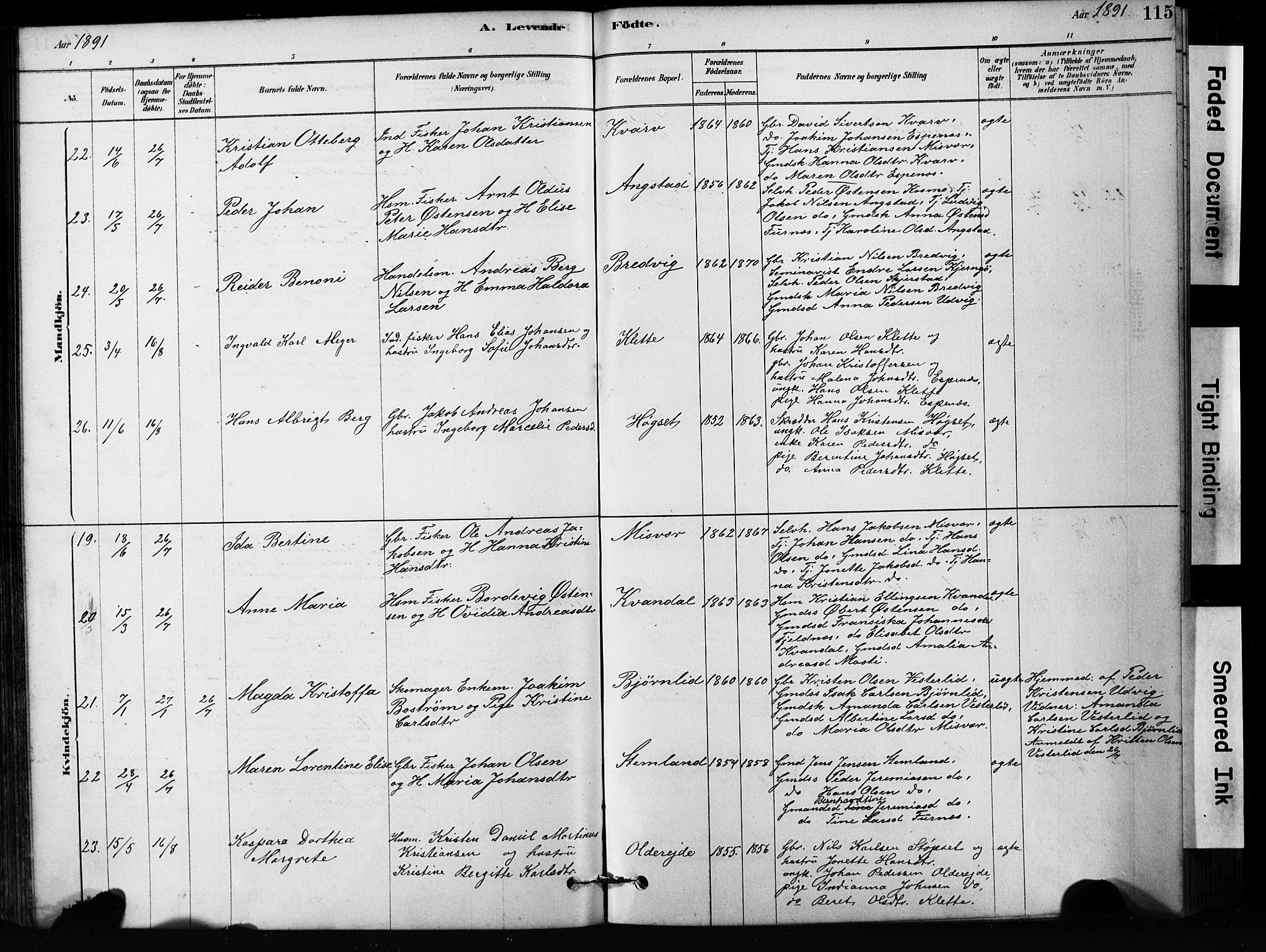 Ministerialprotokoller, klokkerbøker og fødselsregistre - Nordland, SAT/A-1459/852/L0754: Parish register (copy) no. 852C05, 1878-1894, p. 115