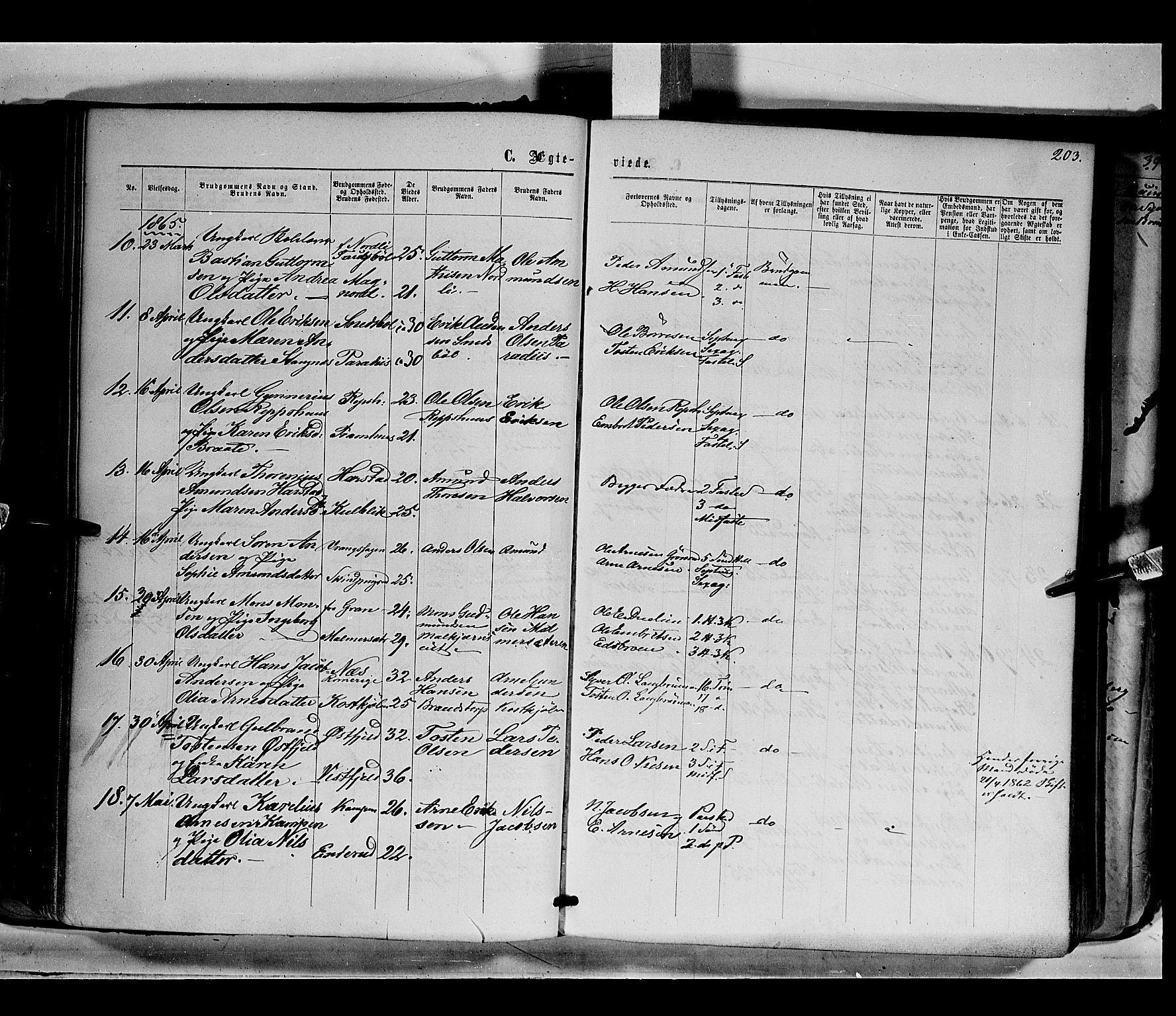 Eidskog prestekontor, SAH/PREST-026/H/Ha/Haa/L0001: Parish register (official) no. 1, 1860-1867, p. 203