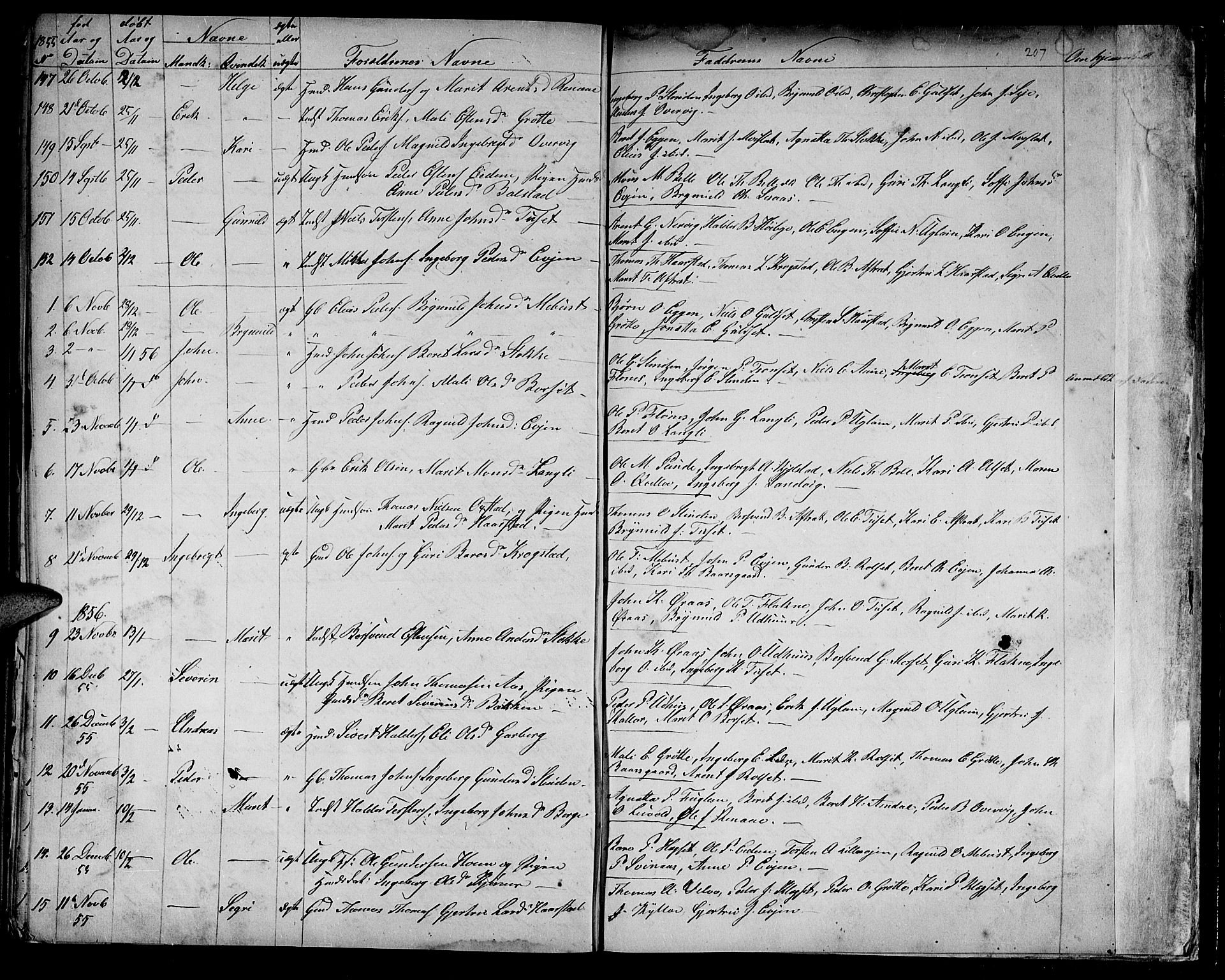 Ministerialprotokoller, klokkerbøker og fødselsregistre - Sør-Trøndelag, SAT/A-1456/695/L1154: Parish register (copy) no. 695C05, 1842-1858, p. 207