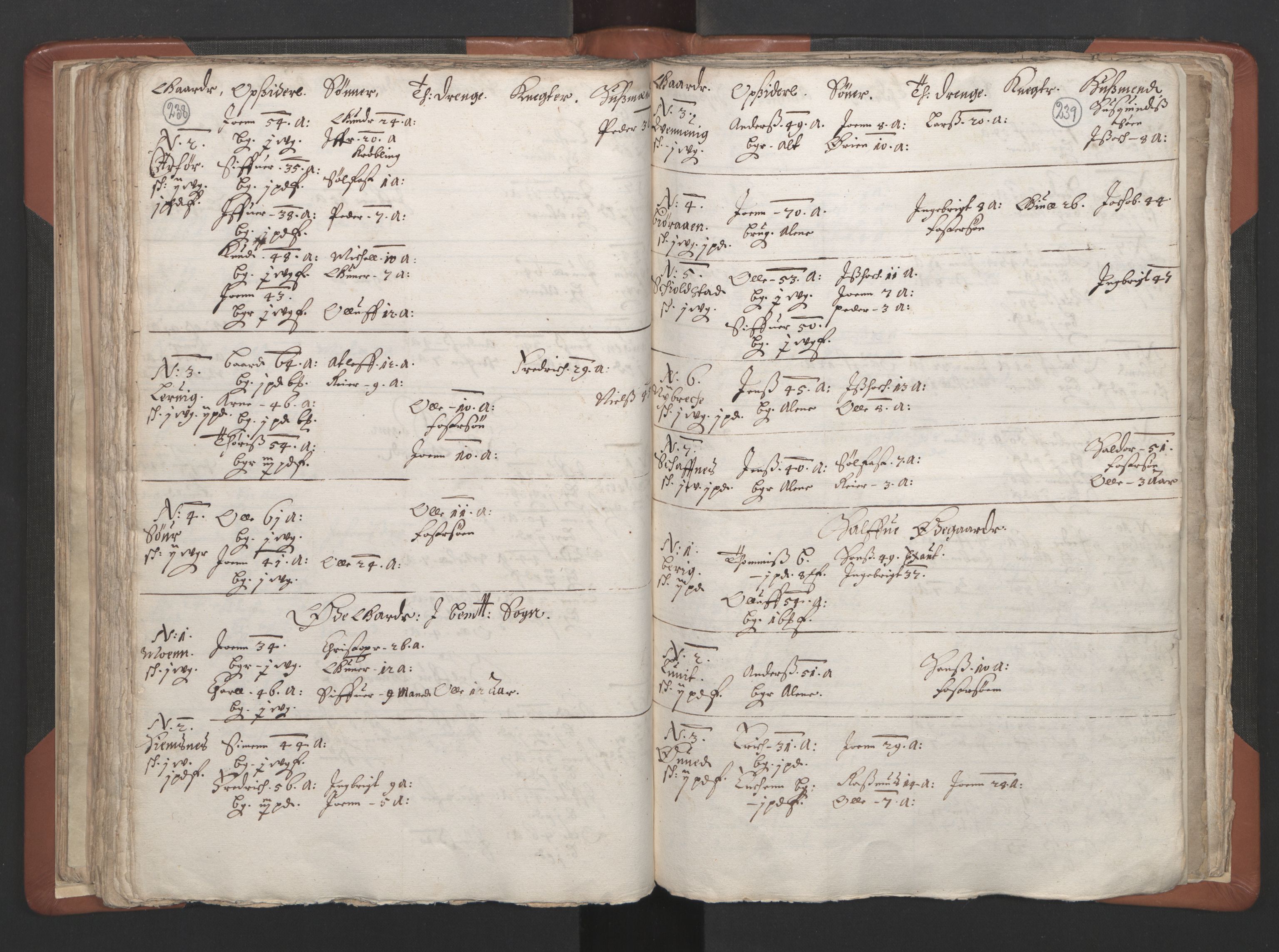 RA, Vicar's Census 1664-1666, no. 34: Namdal deanery, 1664-1666, p. 238-239