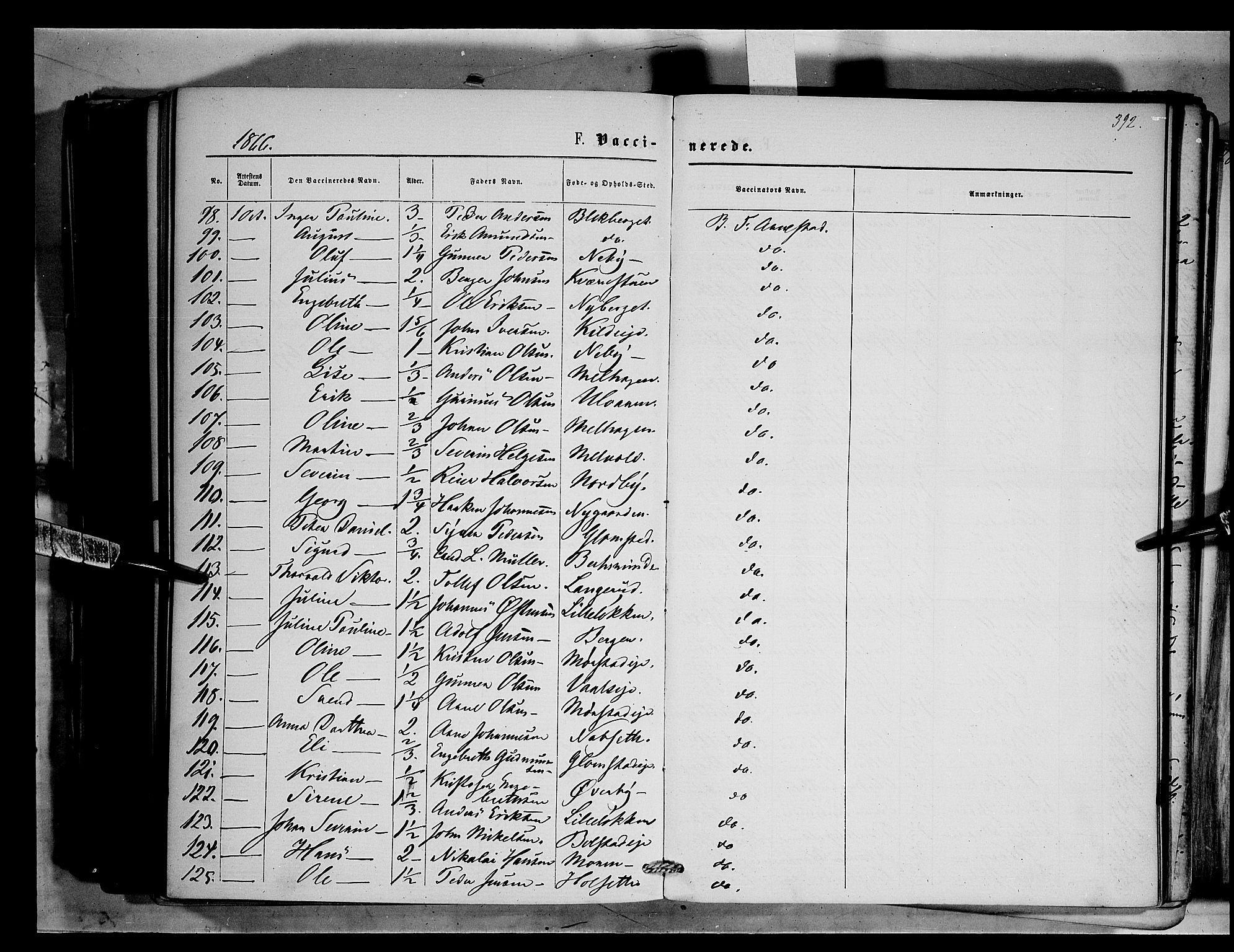 Åmot prestekontor, Hedmark, SAH/PREST-056/H/Ha/Haa/L0008: Parish register (official) no. 8, 1862-1875, p. 392