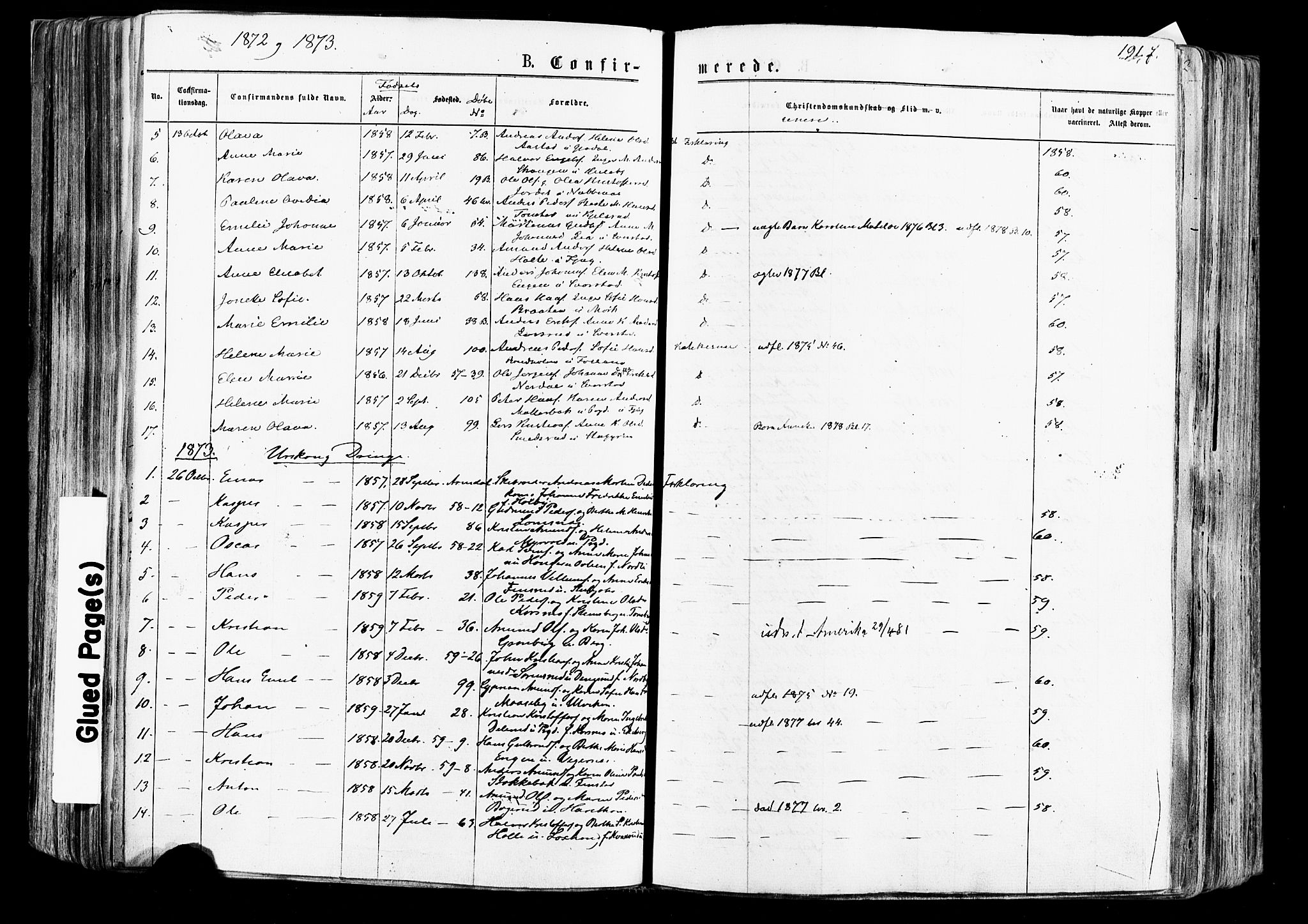 Aurskog prestekontor Kirkebøker, SAO/A-10304a/F/Fa/L0007: Parish register (official) no. I 7, 1854-1877, p. 191f