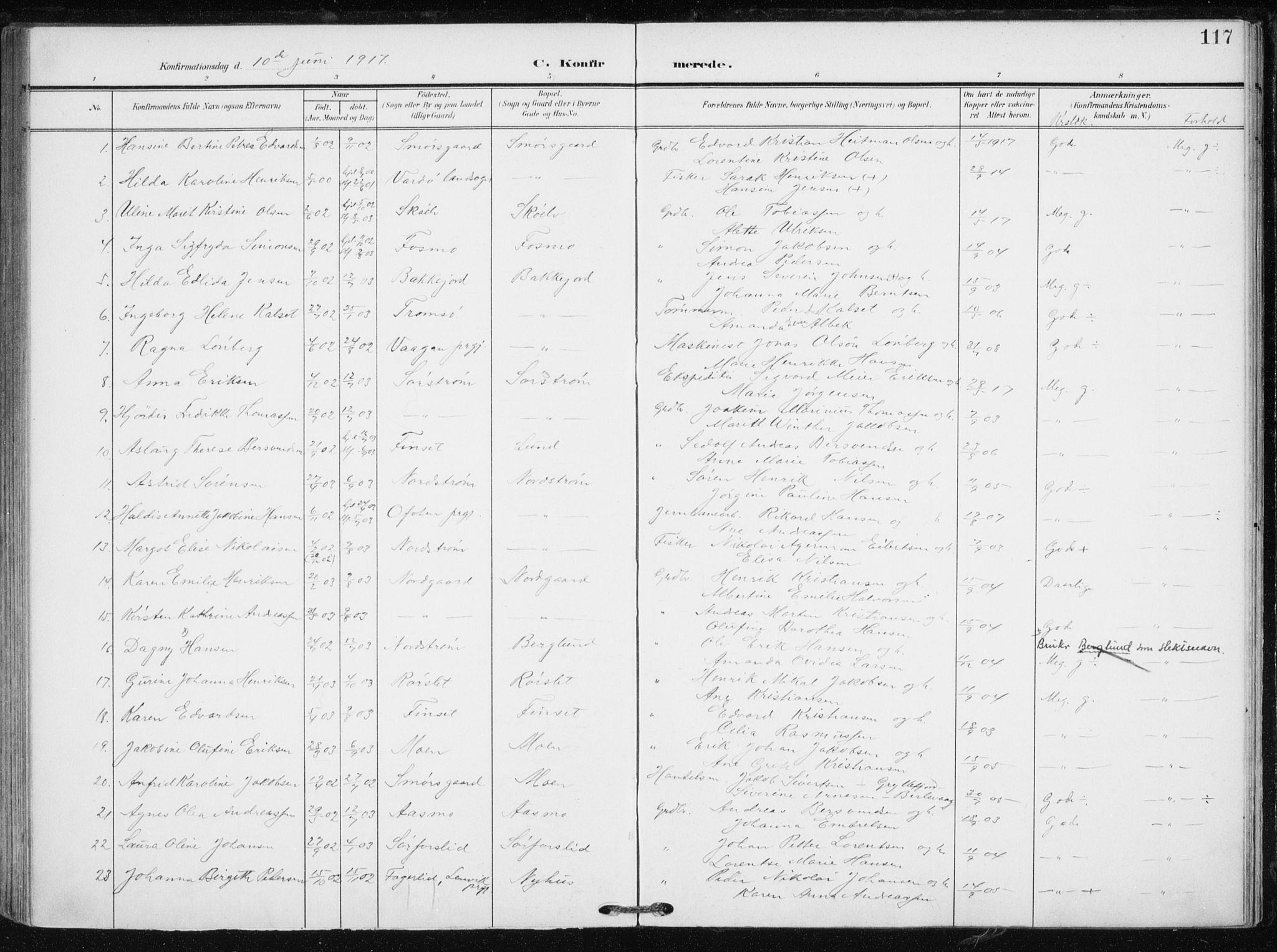 Tranøy sokneprestkontor, SATØ/S-1313/I/Ia/Iaa/L0012kirke: Parish register (official) no. 12, 1905-1918, p. 117