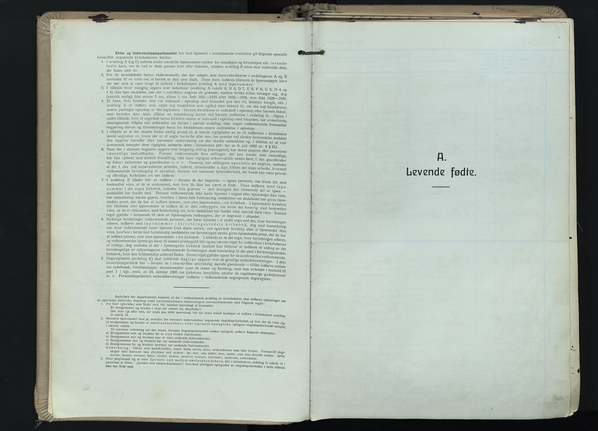 Hedrum kirkebøker, SAKO/A-344/F/Fa/L0011: Parish register (official) no. I 11, 1919-1933