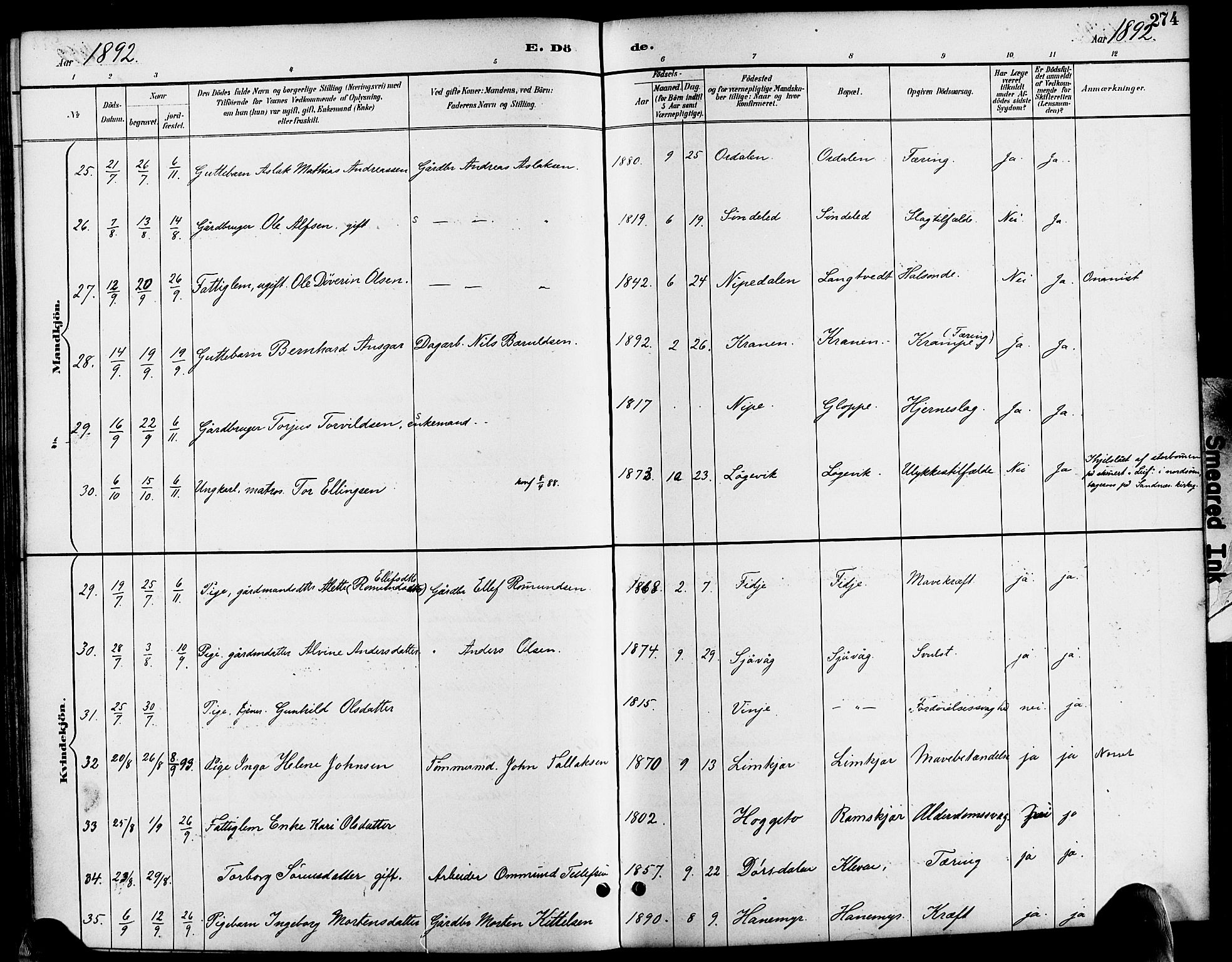 Søndeled sokneprestkontor, AV/SAK-1111-0038/F/Fa/L0005: Parish register (official) no. A 5, 1889-1899, p. 274