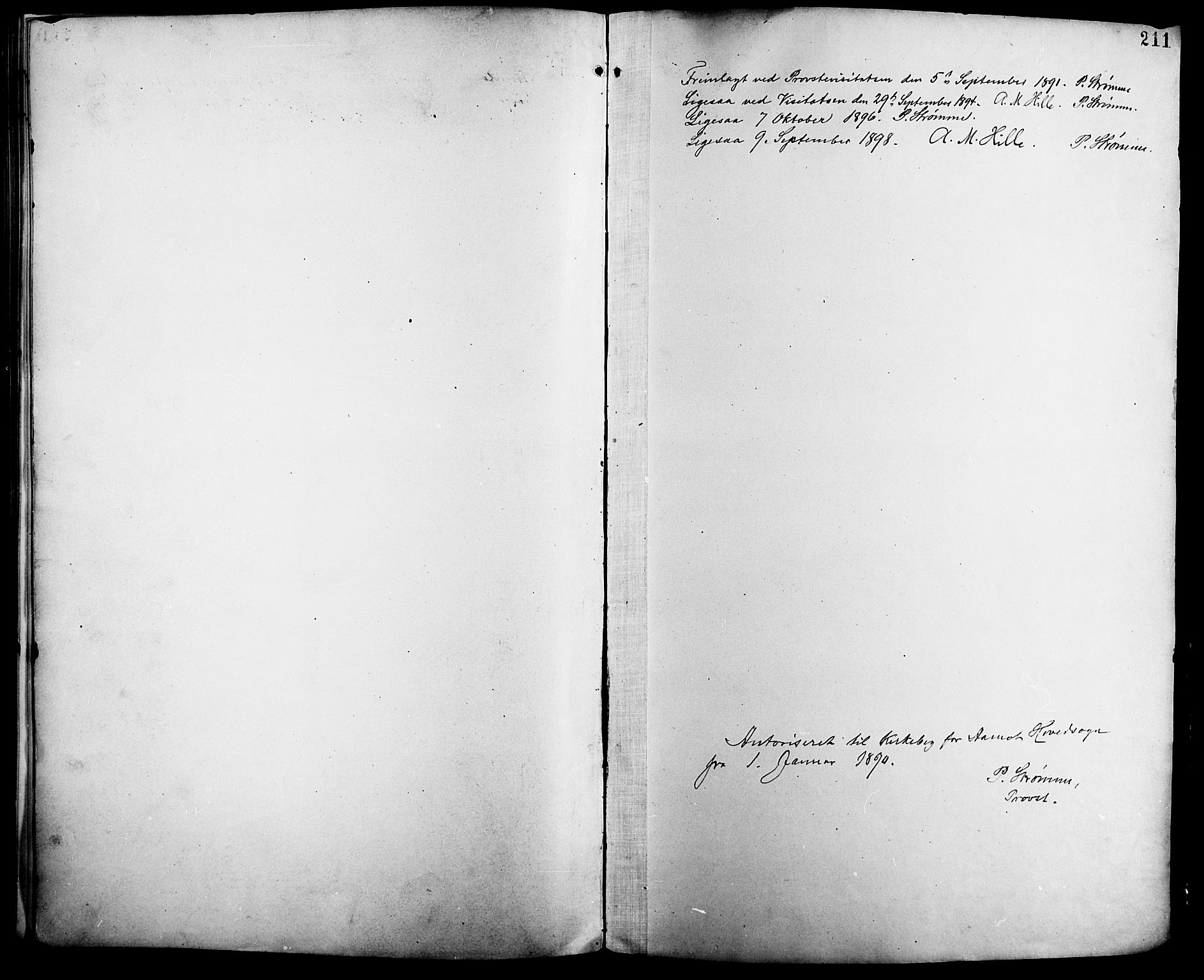 Åmot prestekontor, Hedmark, SAH/PREST-056/H/Ha/Haa/L0011: Parish register (official) no. 11, 1890-1897, p. 211