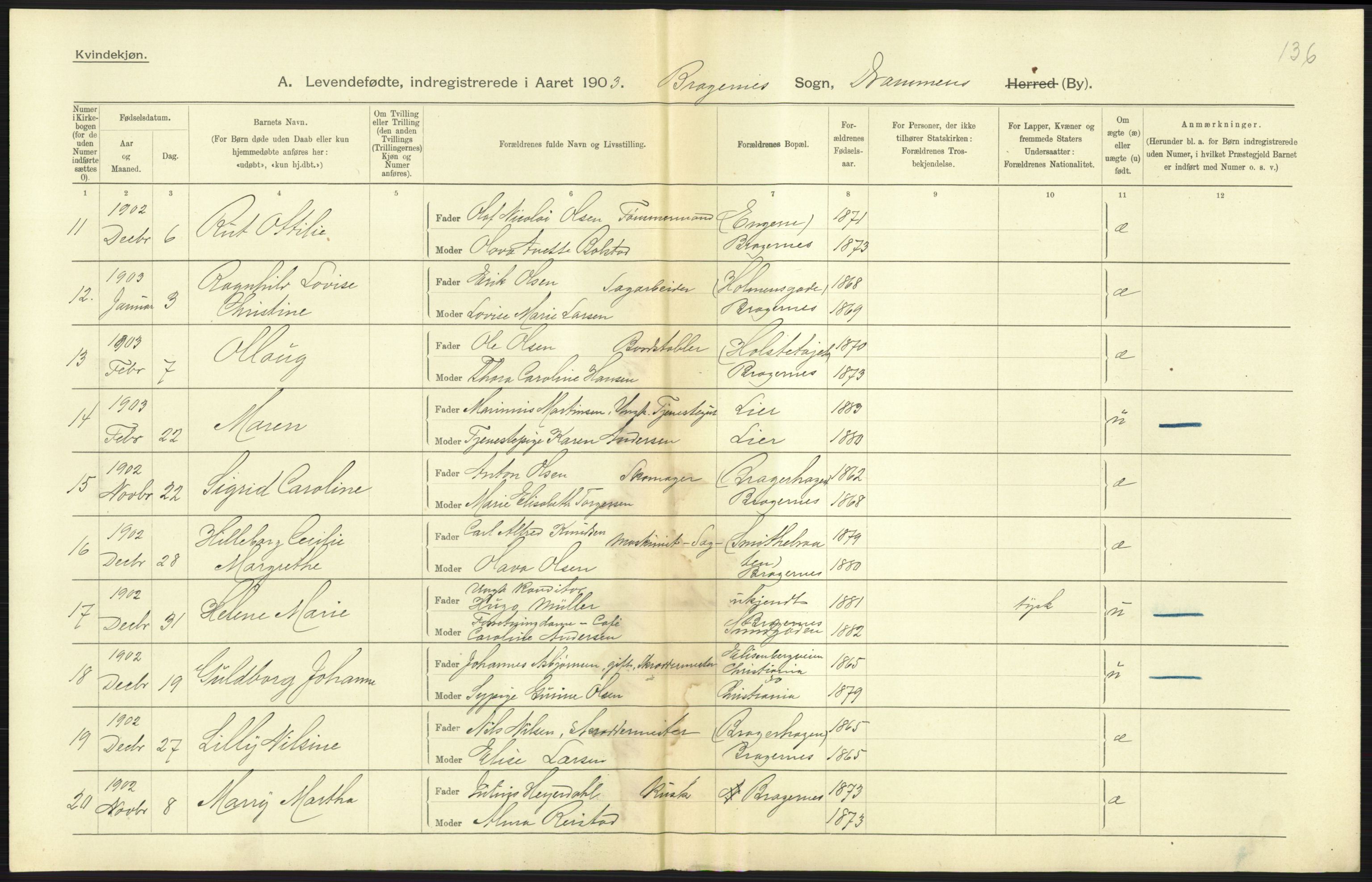 Statistisk sentralbyrå, Sosiodemografiske emner, Befolkning, AV/RA-S-2228/D/Df/Dfa/Dfaa/L0007: Buskeruds amt: Fødte, gifte, døde, 1903, p. 293