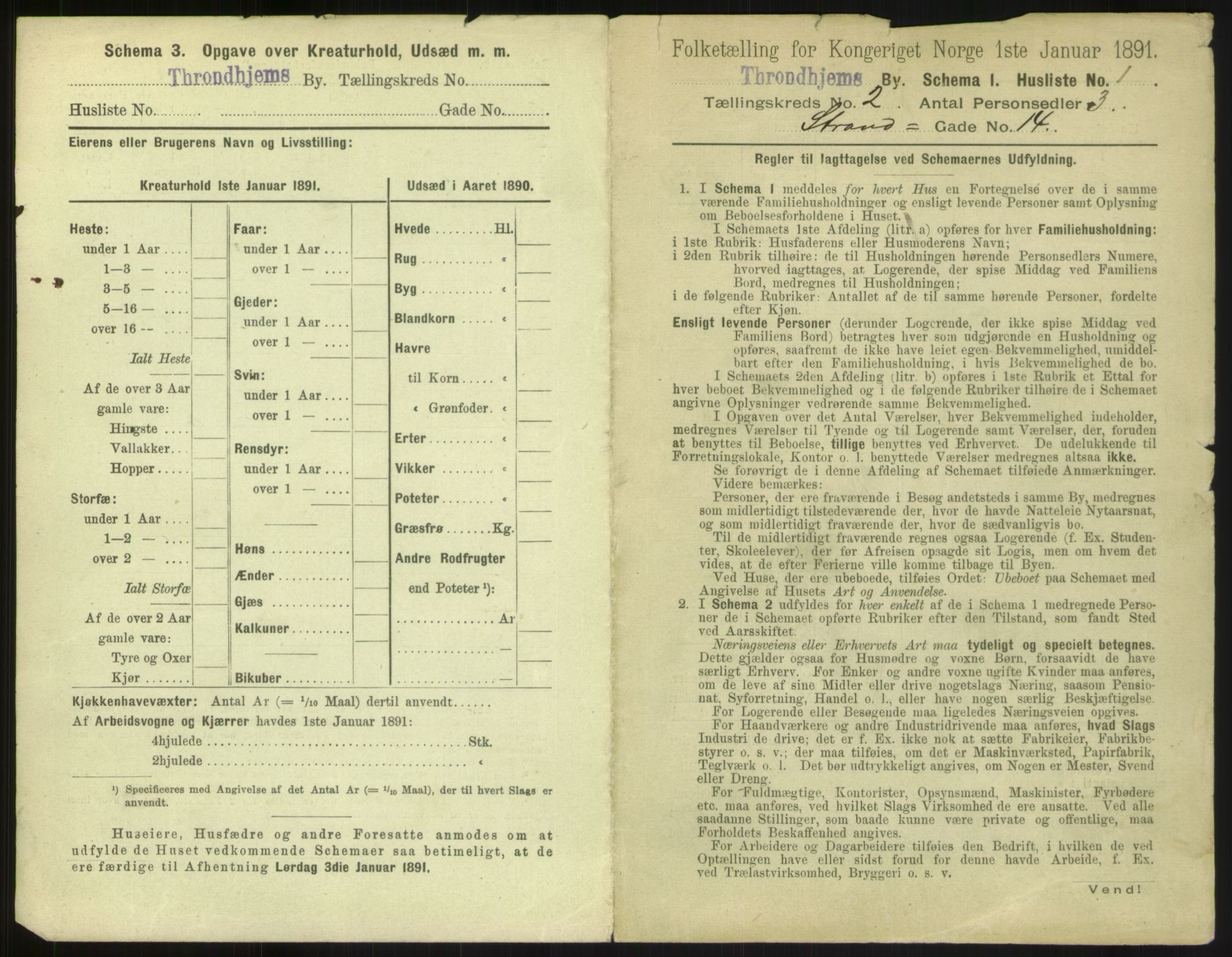 RA, 1891 census for 1601 Trondheim, 1891, p. 236