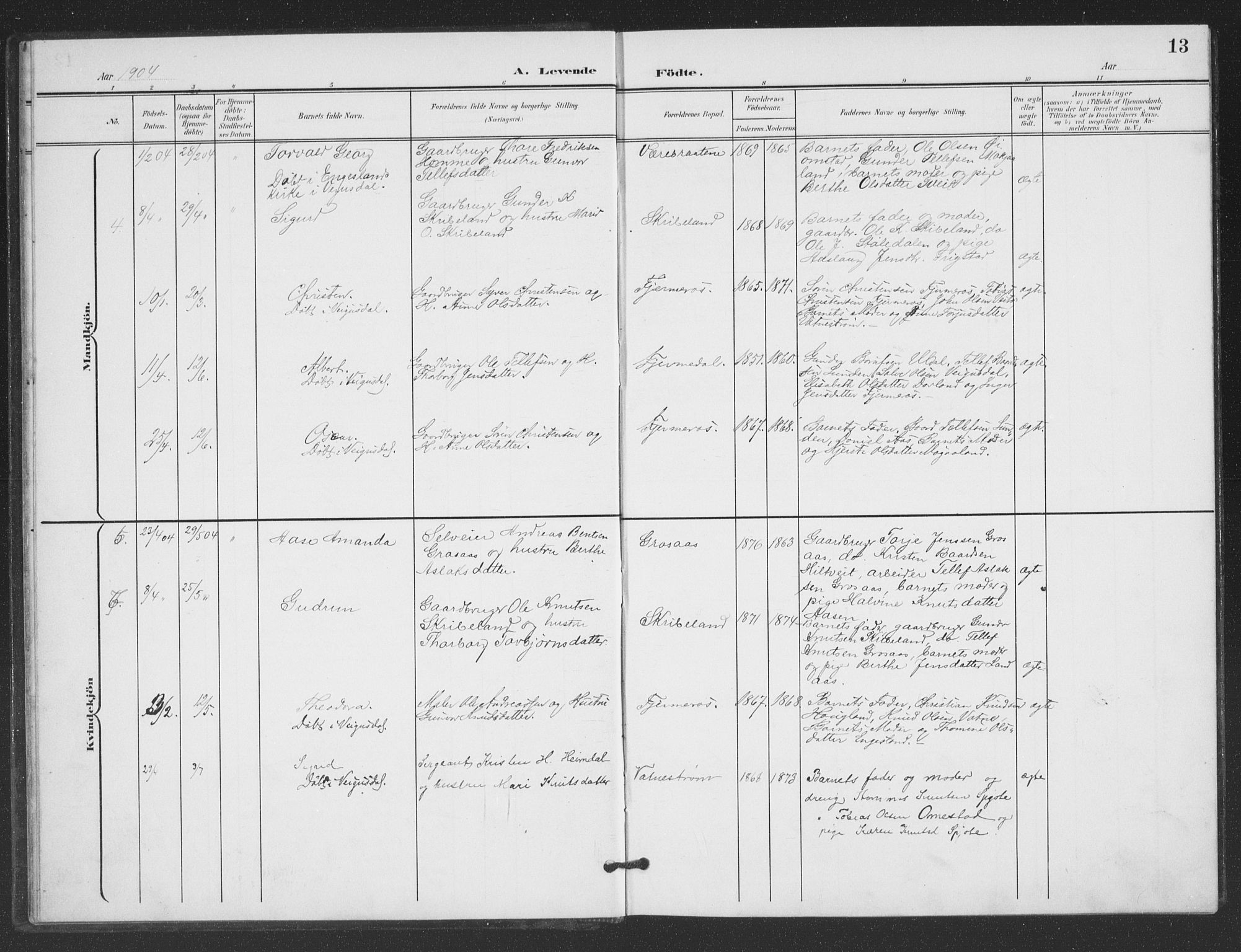 Evje sokneprestkontor, SAK/1111-0008/F/Fb/Fbc/L0005: Parish register (copy) no. B 5, 1901-1935, p. 13