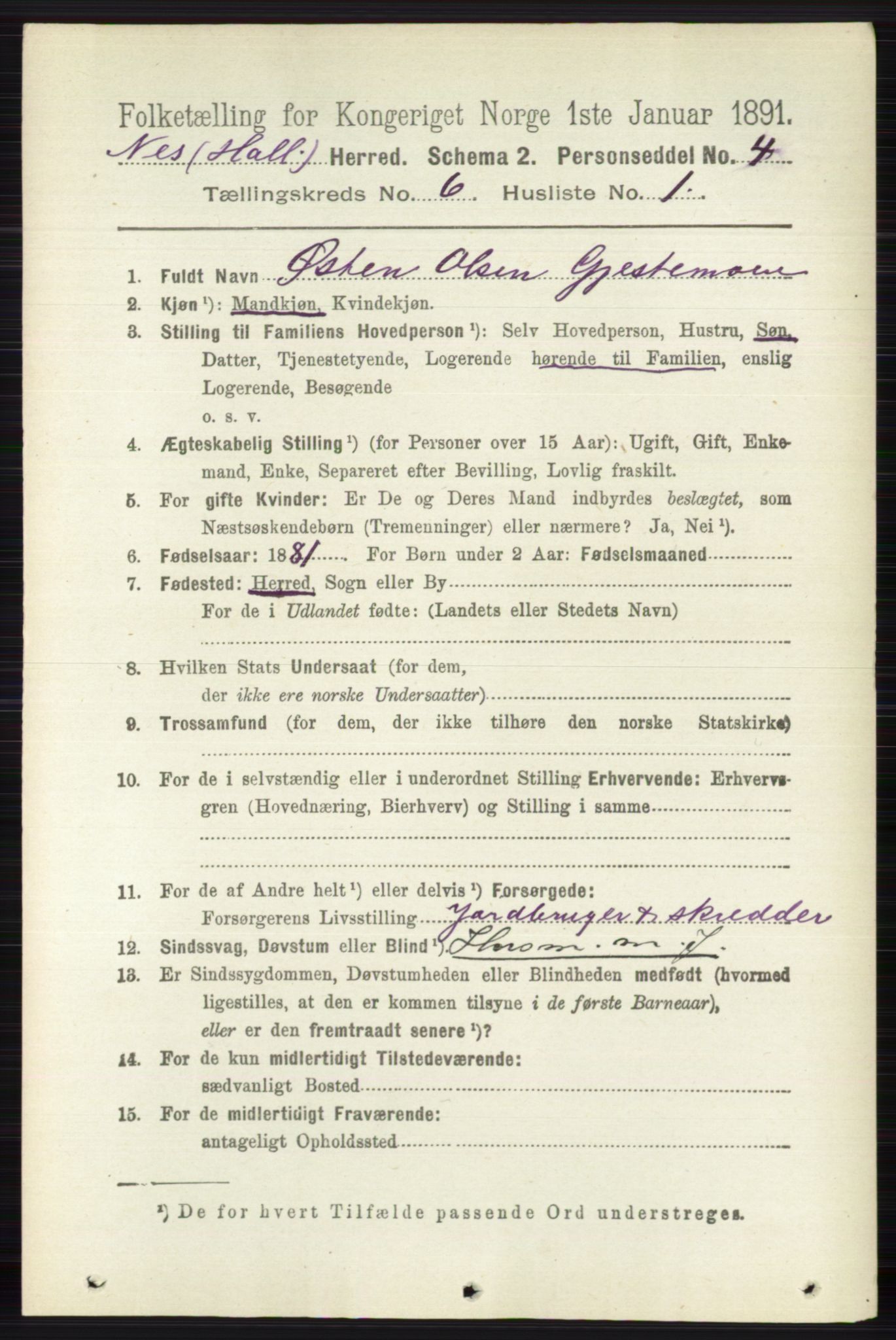 RA, 1891 census for 0616 Nes, 1891, p. 3047