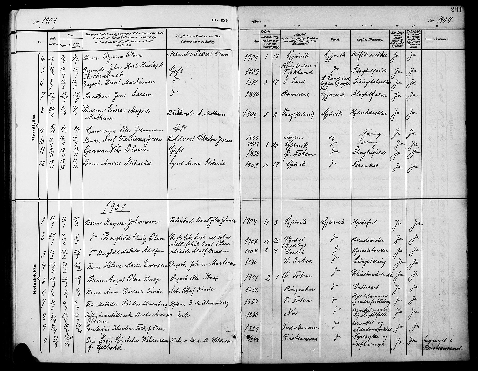 Vardal prestekontor, SAH/PREST-100/H/Ha/Hab/L0012: Parish register (copy) no. 12, 1902-1911, p. 201