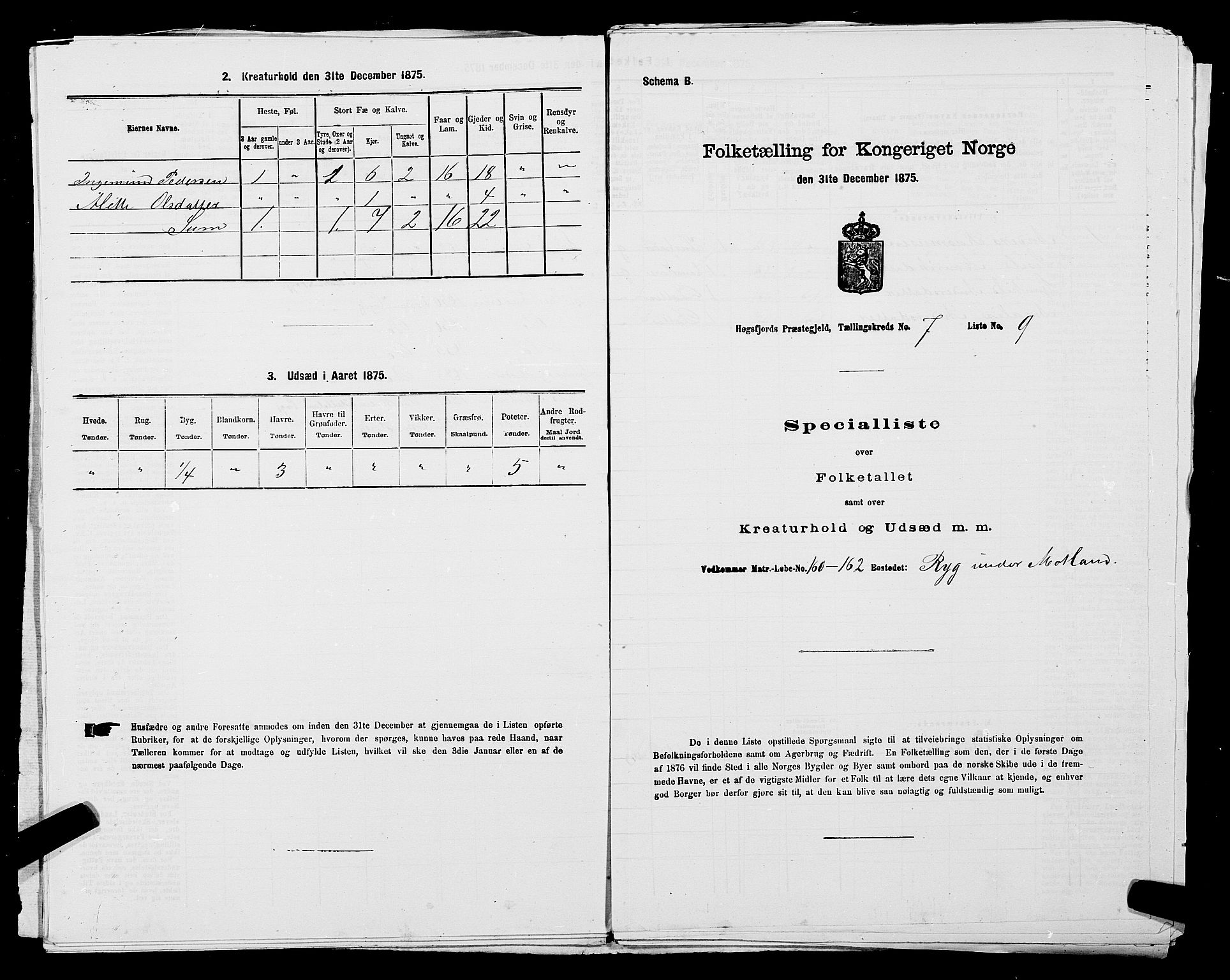 SAST, 1875 census for 1128P Høgsfjord, 1875, p. 613