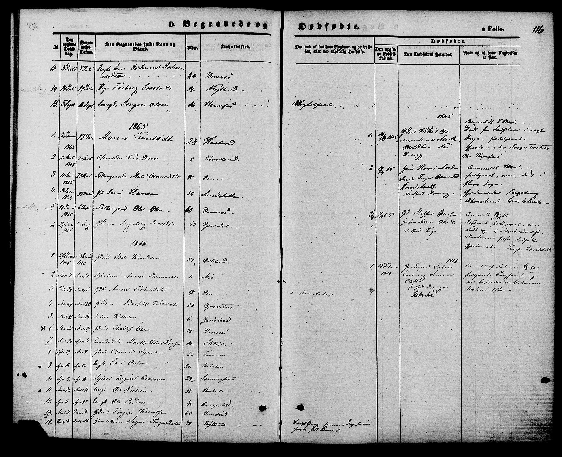Herefoss sokneprestkontor, SAK/1111-0019/F/Fa/Faa/L0002: Parish register (official) no. A 2, 1861-1886, p. 116