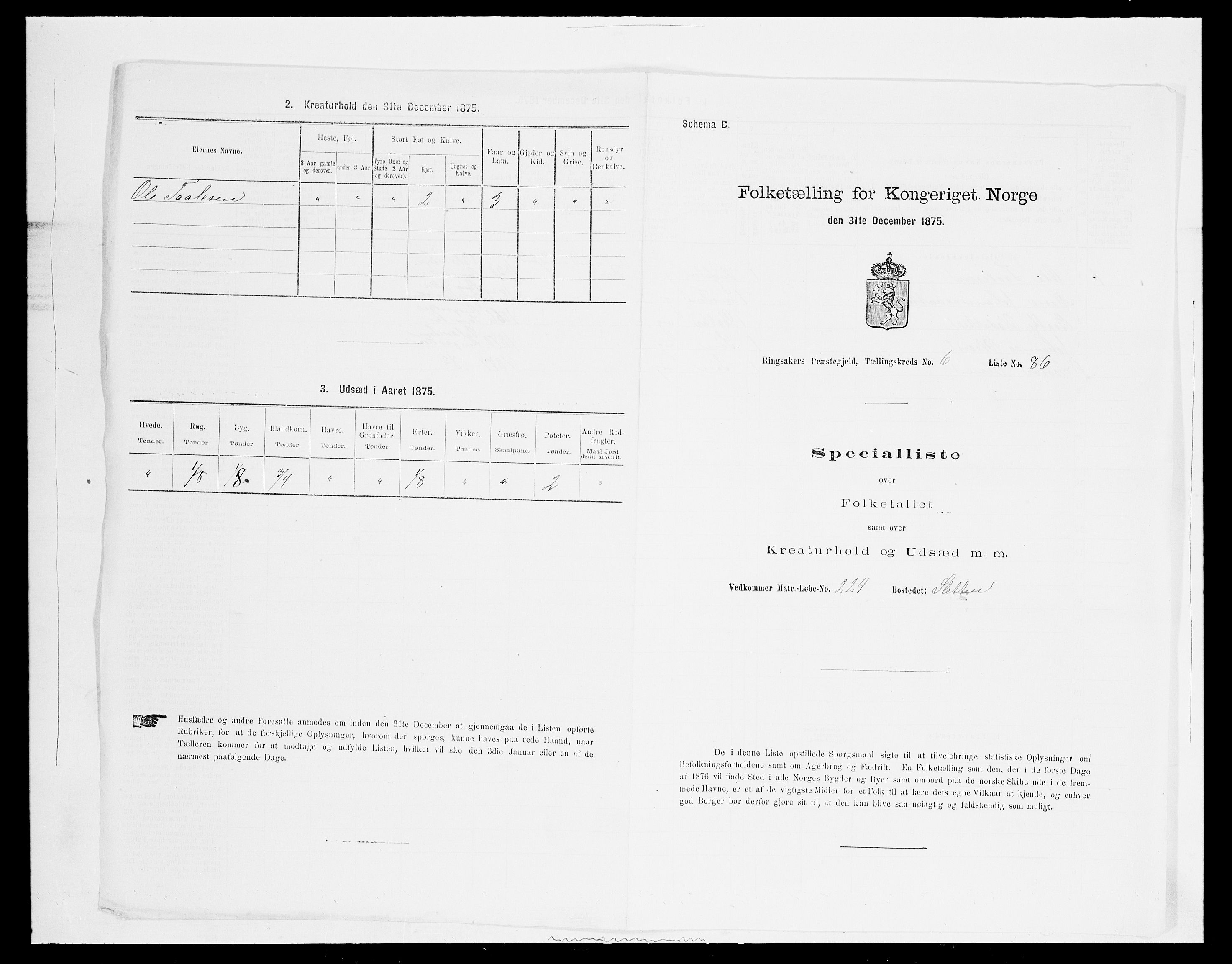 SAH, 1875 census for 0412P Ringsaker, 1875, p. 1397