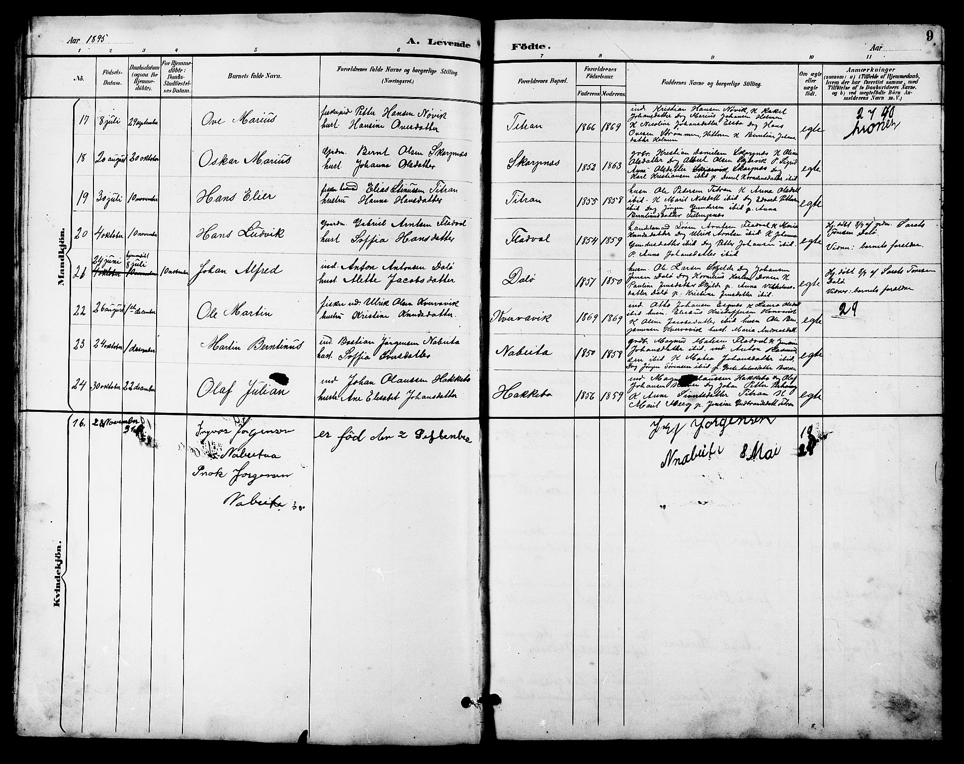 Ministerialprotokoller, klokkerbøker og fødselsregistre - Sør-Trøndelag, SAT/A-1456/641/L0598: Parish register (copy) no. 641C02, 1893-1910, p. 9
