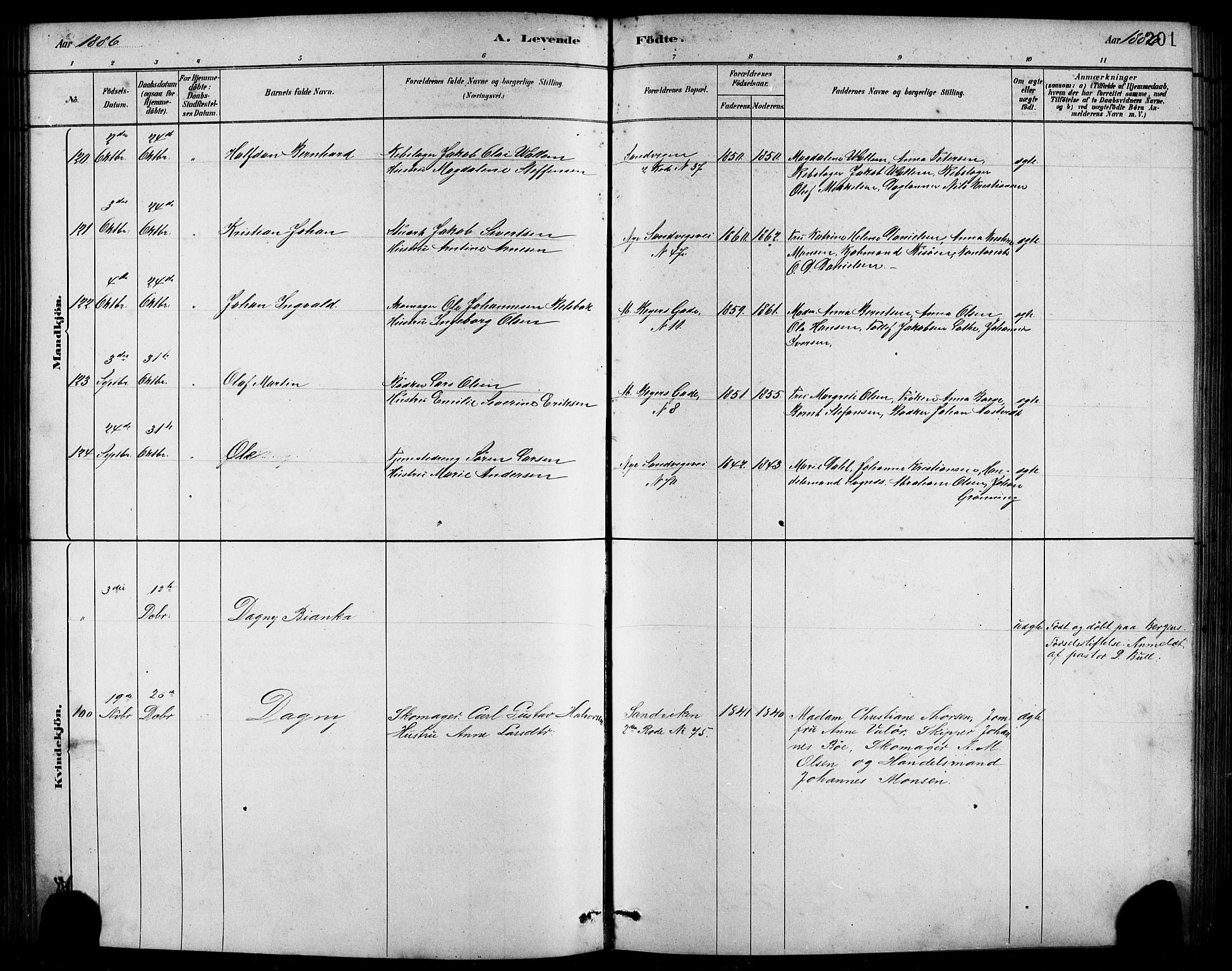 Sandviken Sokneprestembete, AV/SAB-A-77601/H/Hb/L0001: Parish register (copy) no. A 2, 1879-1892, p. 201