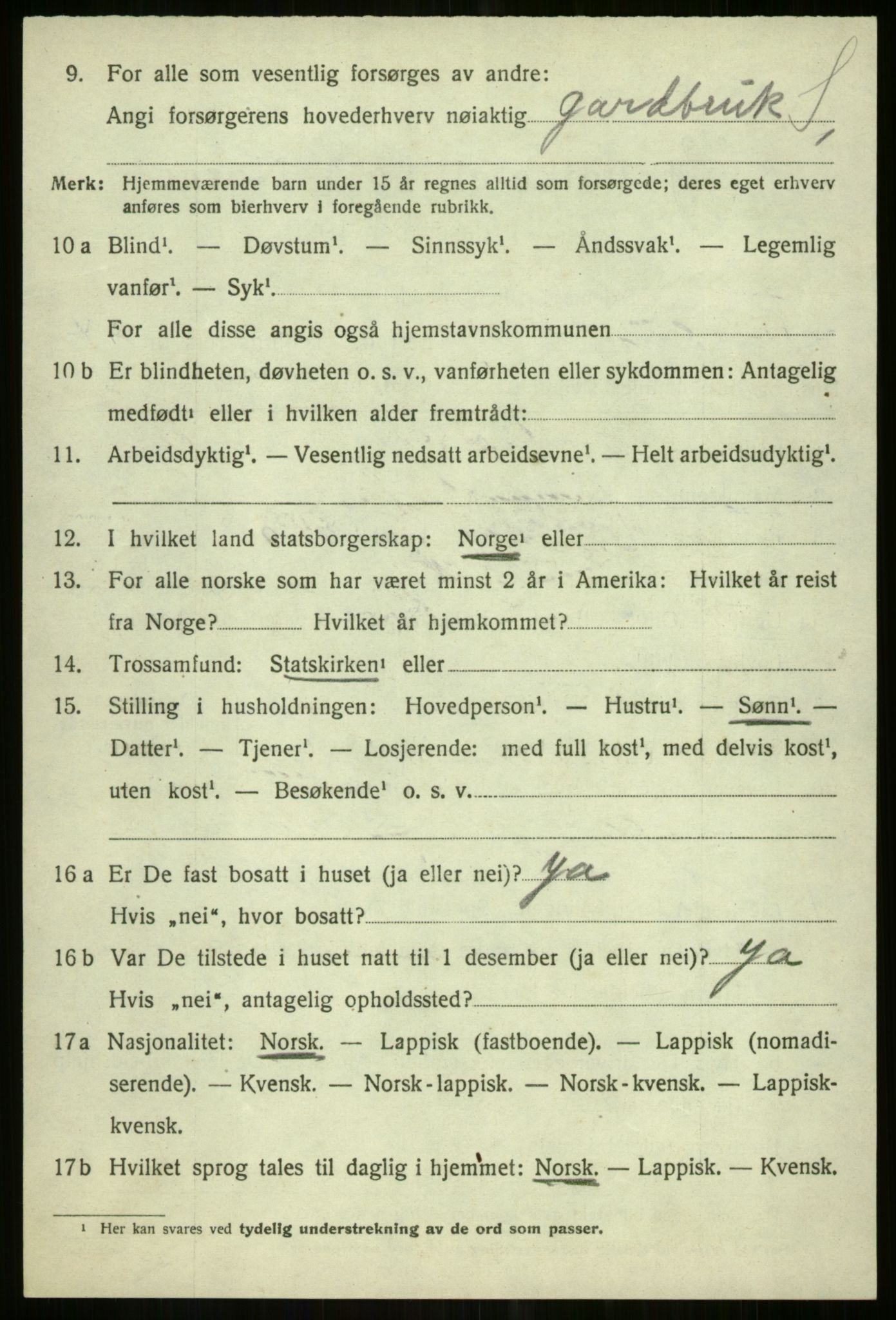 SATØ, 1920 census for Tromsøysund, 1920, p. 11741