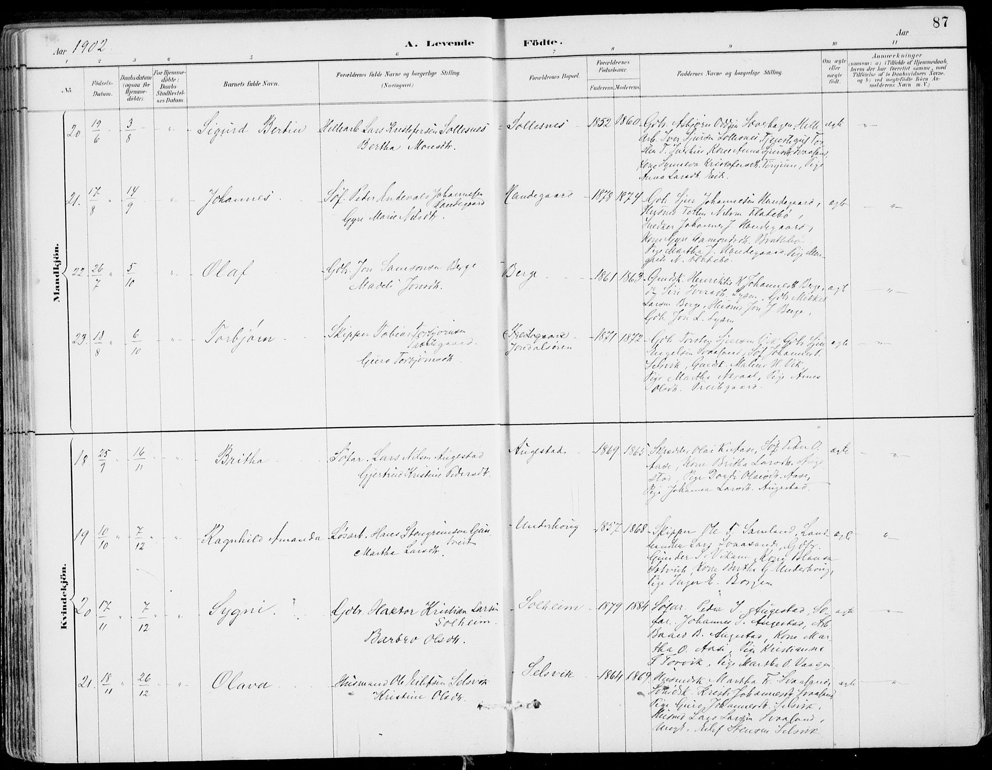 Strandebarm sokneprestembete, AV/SAB-A-78401/H/Haa: Parish register (official) no. E  1, 1886-1908, p. 87