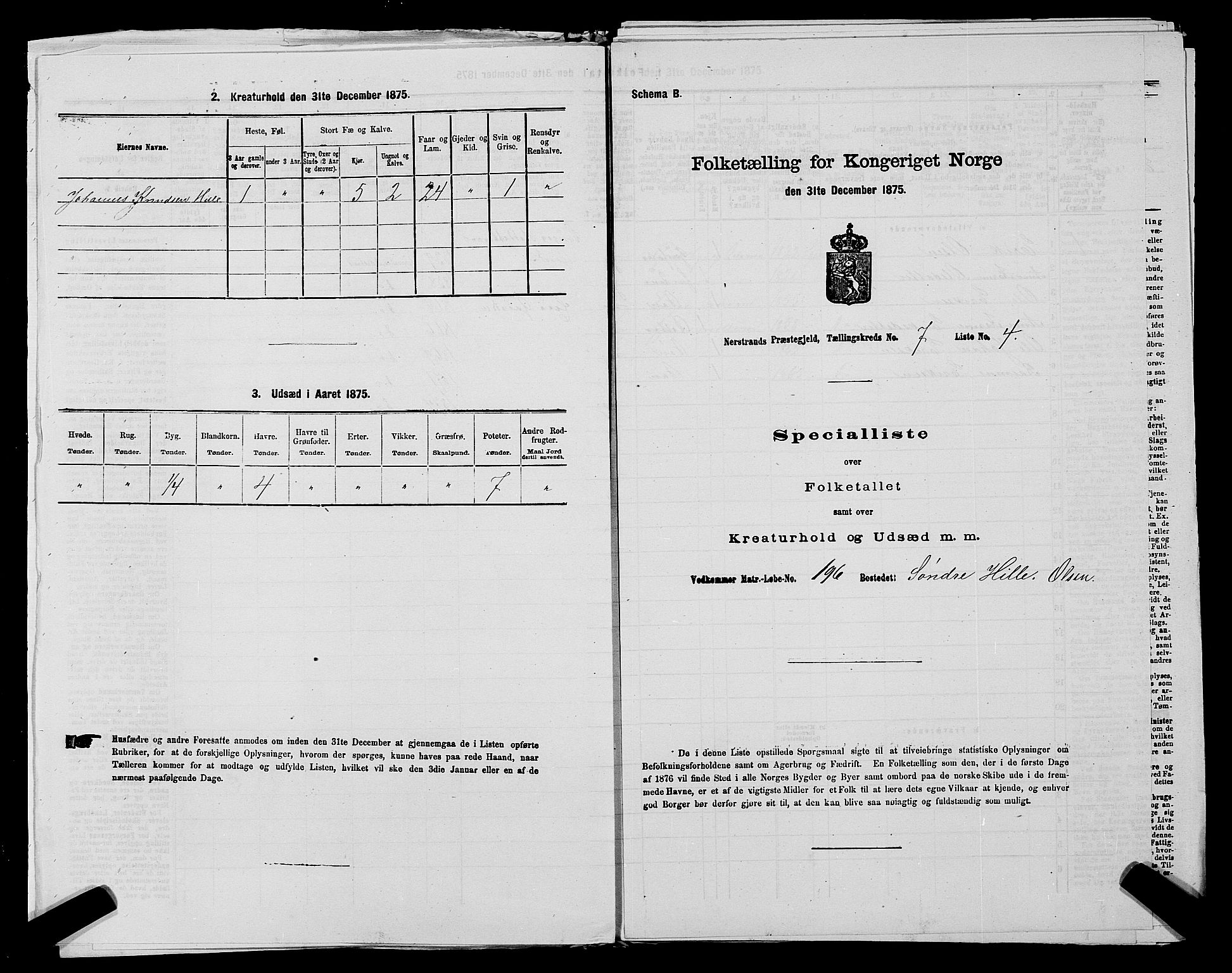 SAST, 1875 census for 1139P Nedstrand, 1875, p. 785