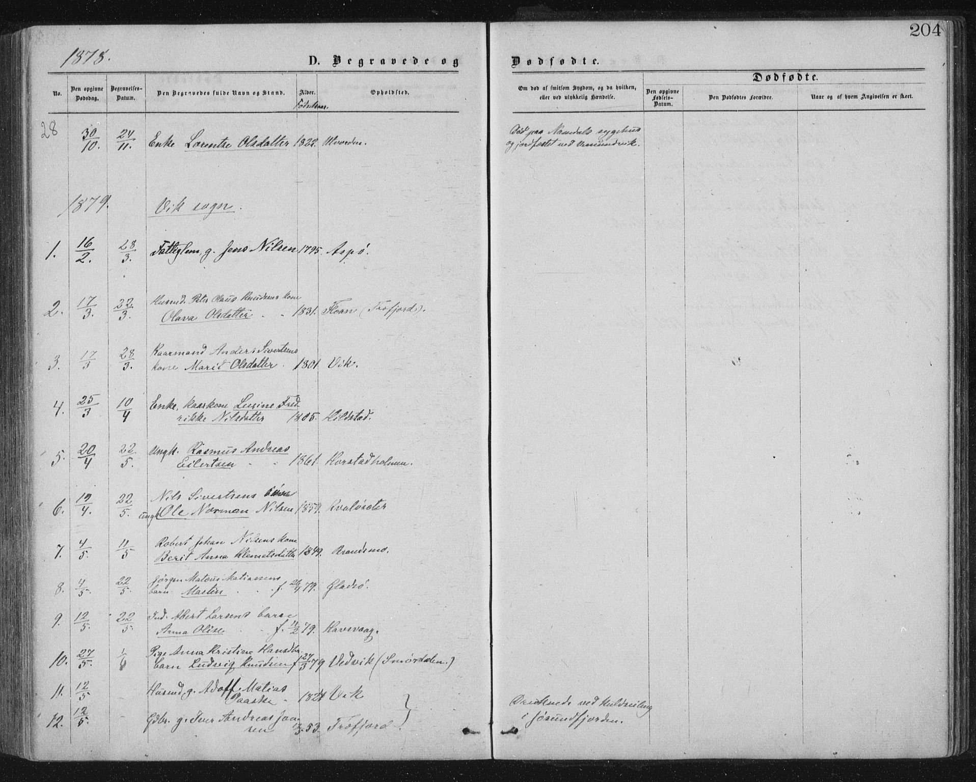 Ministerialprotokoller, klokkerbøker og fødselsregistre - Nord-Trøndelag, AV/SAT-A-1458/771/L0596: Parish register (official) no. 771A03, 1870-1884, p. 204