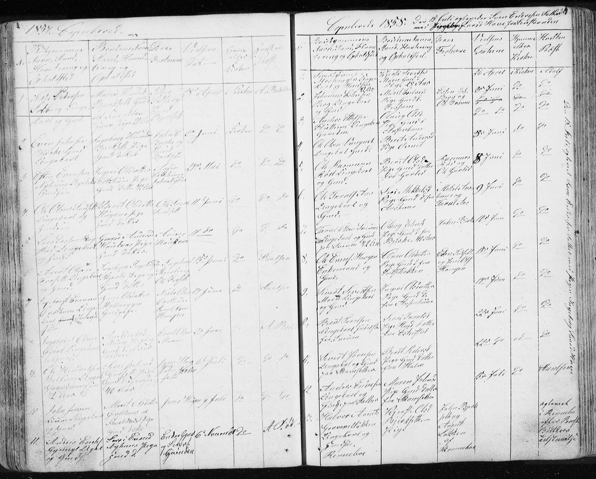 Ministerialprotokoller, klokkerbøker og fødselsregistre - Sør-Trøndelag, SAT/A-1456/689/L1043: Parish register (copy) no. 689C02, 1816-1892, p. 223
