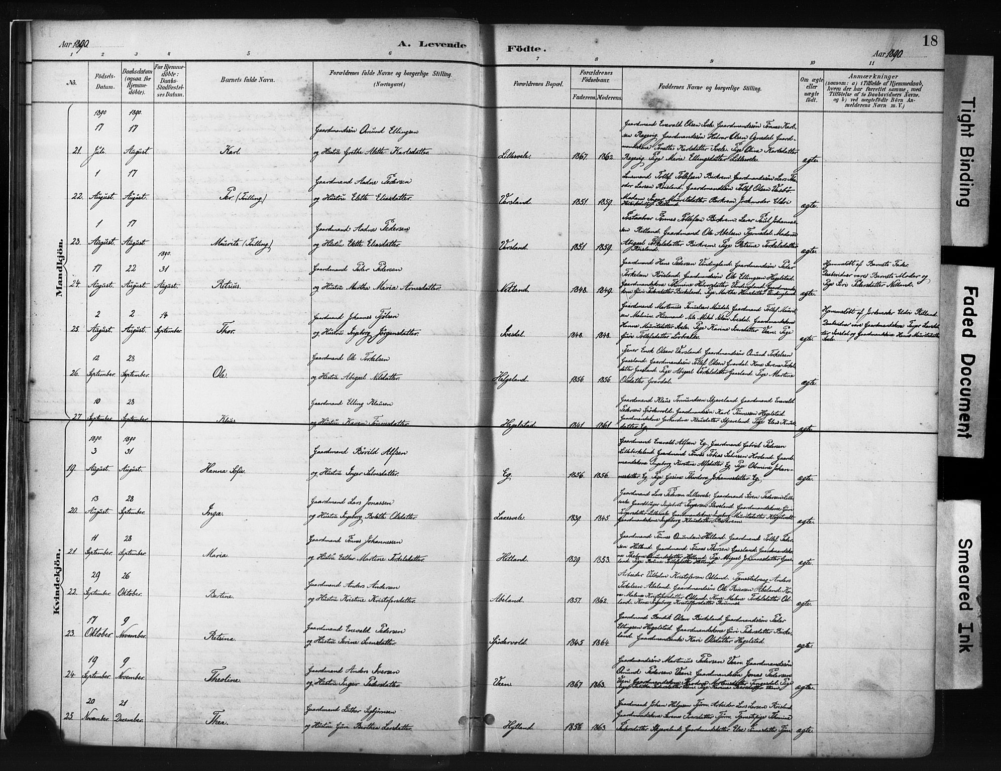 Helleland sokneprestkontor, AV/SAST-A-101810: Parish register (official) no. A 9, 1887-1908, p. 18