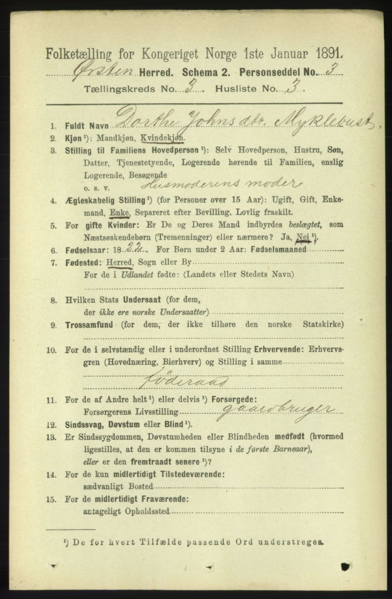 RA, 1891 census for 1520 Ørsta, 1891, p. 1224