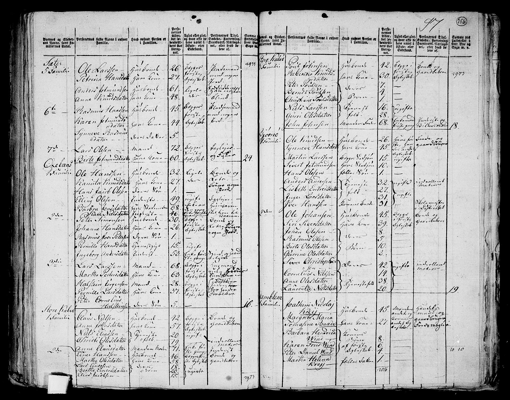 RA, 1801 census for 1531P Borgund, 1801, p. 255b-256a