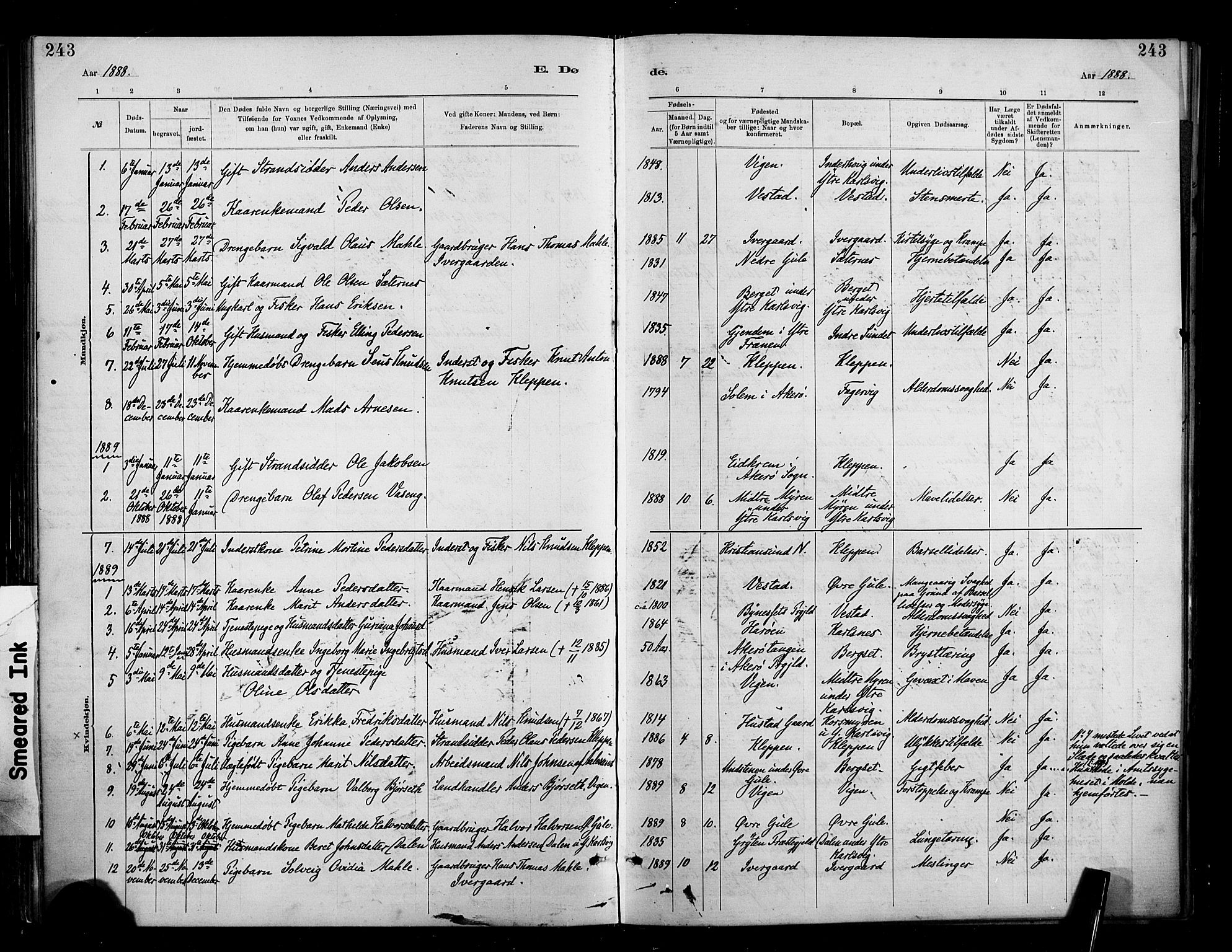 Ministerialprotokoller, klokkerbøker og fødselsregistre - Møre og Romsdal, AV/SAT-A-1454/566/L0769: Parish register (official) no. 566A08, 1881-1903, p. 243