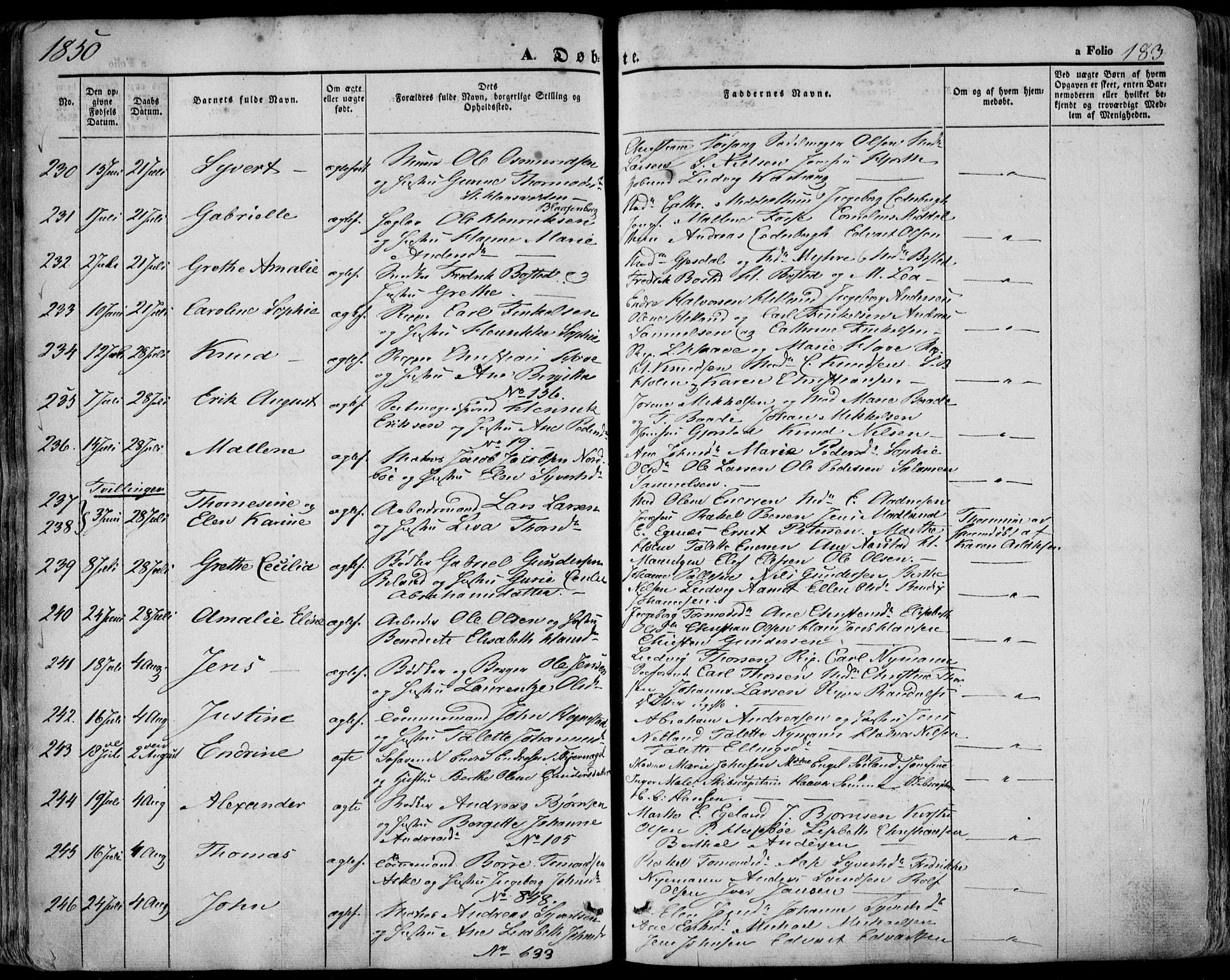 Domkirken sokneprestkontor, SAST/A-101812/001/30/30BA/L0016: Parish register (official) no. A 15, 1844-1854, p. 183