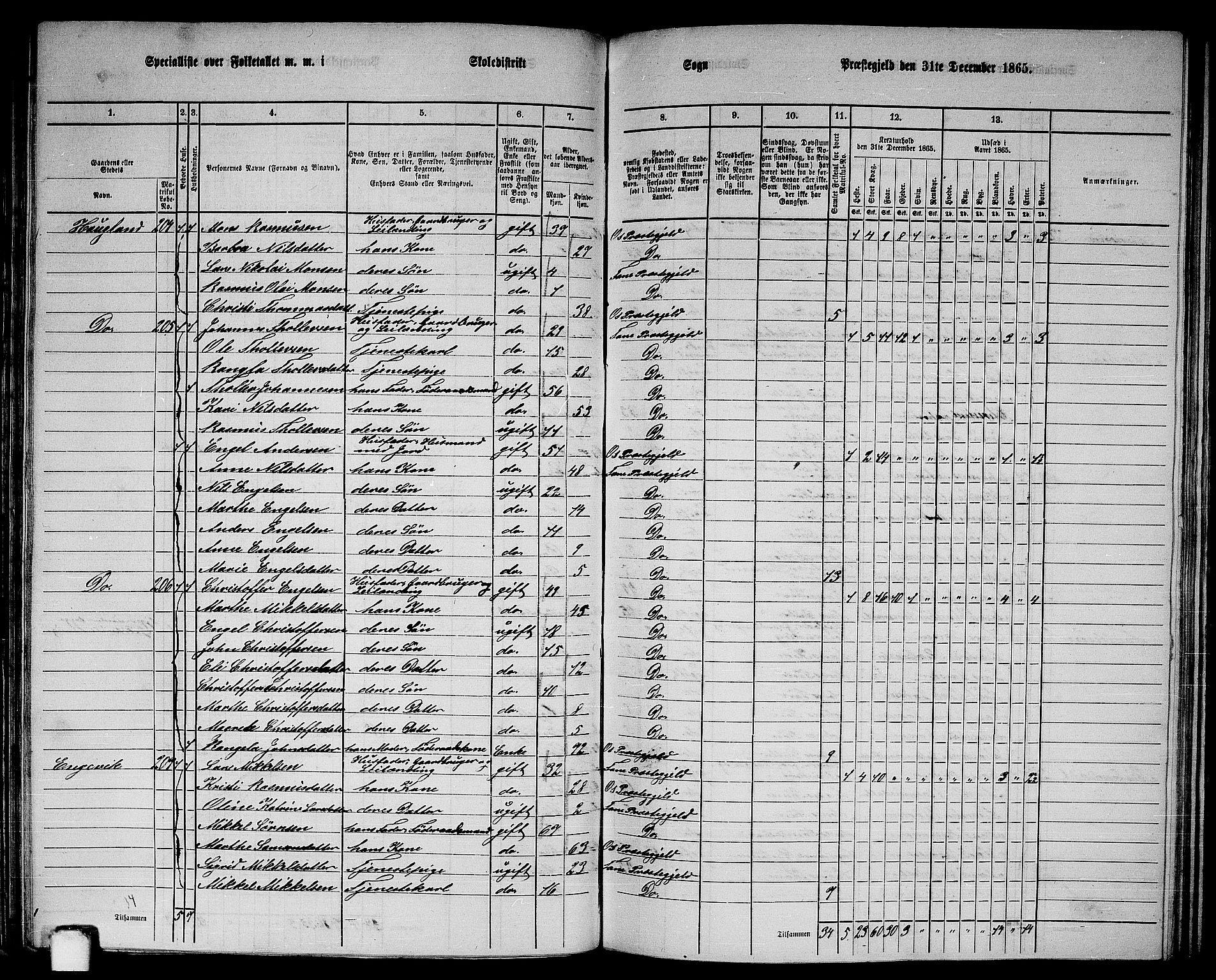 RA, 1865 census for Fana, 1865, p. 80