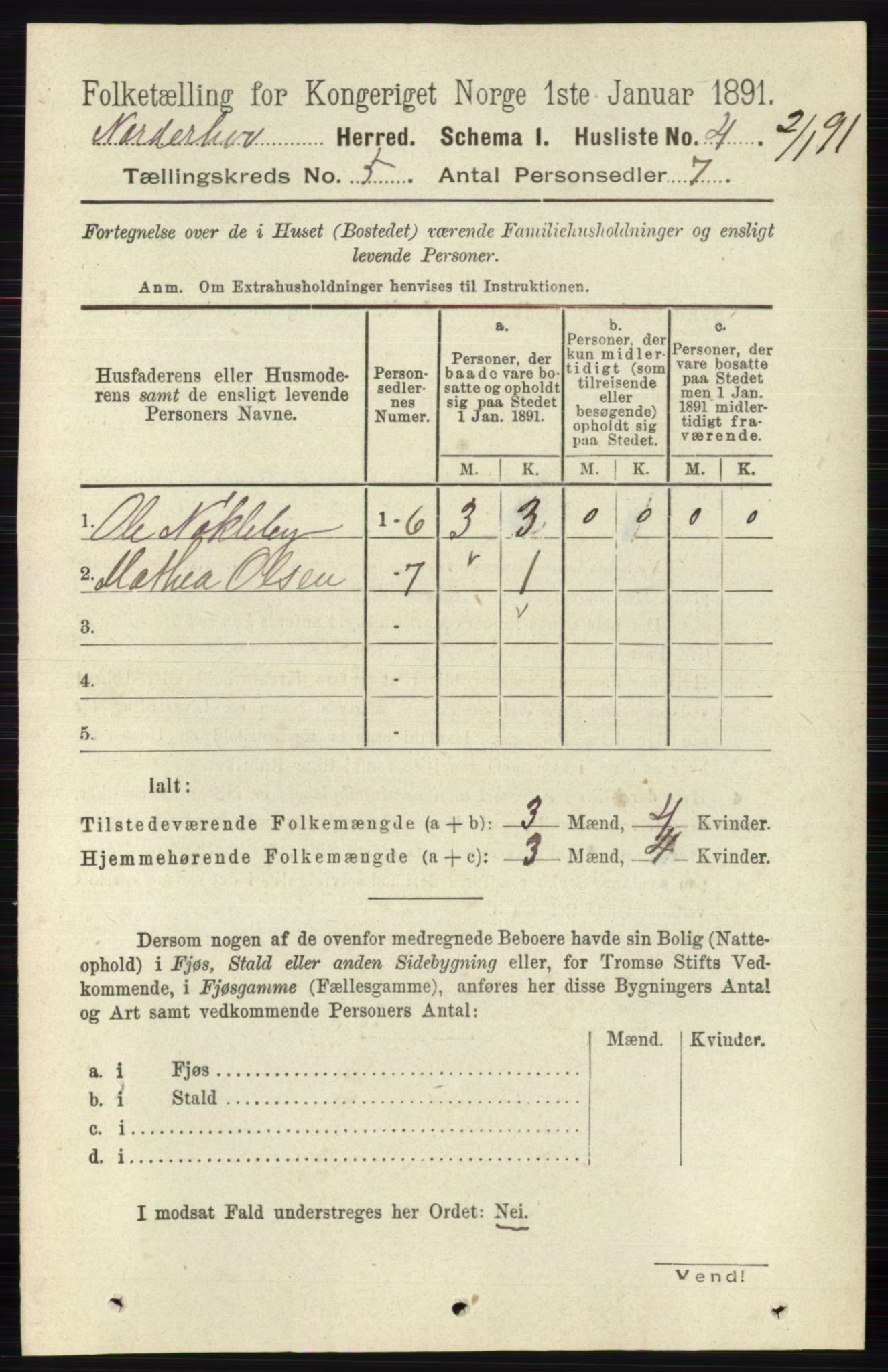 RA, 1891 census for 0613 Norderhov, 1891, p. 3444