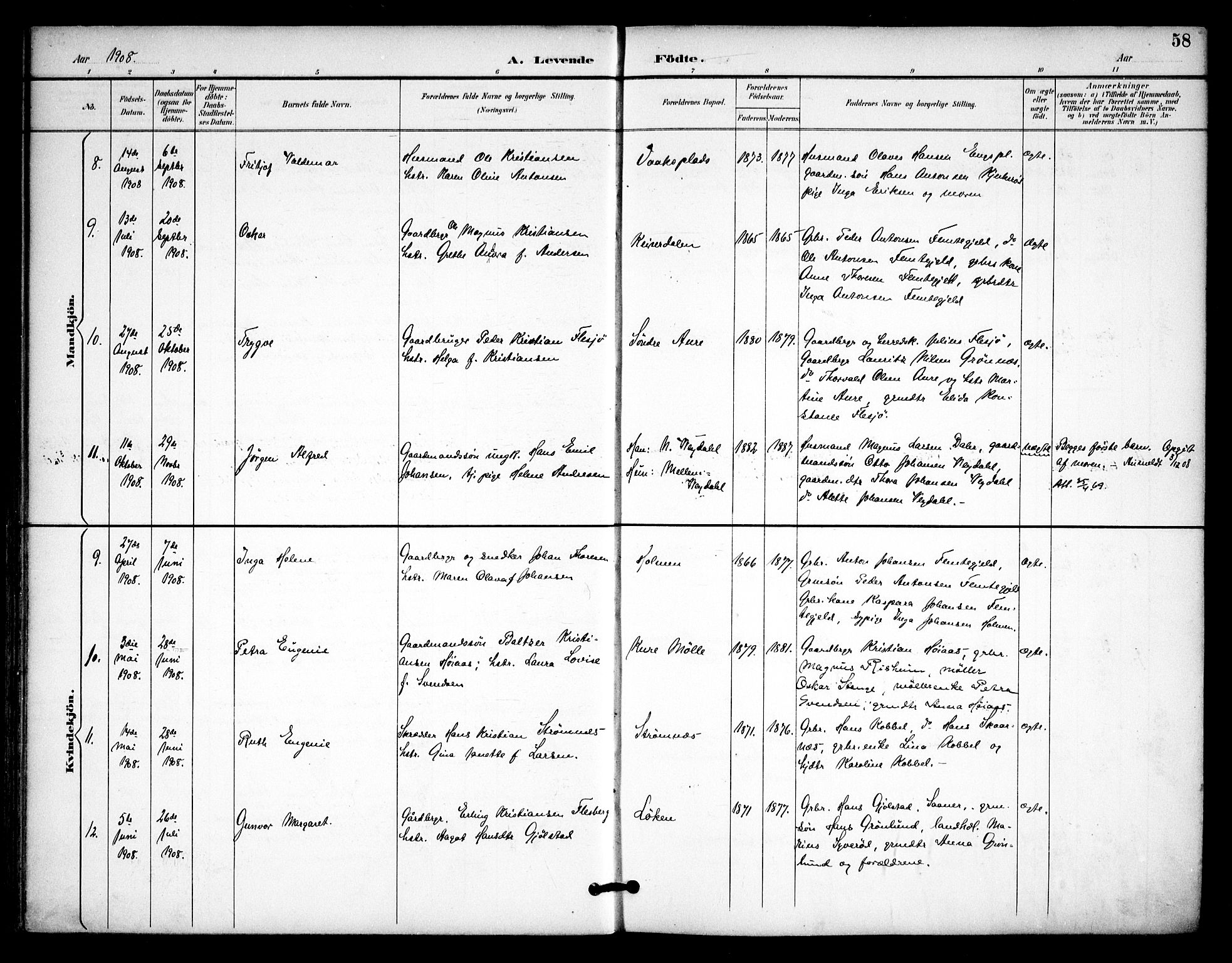 Våler prestekontor Kirkebøker, AV/SAO-A-11083/F/Fa/L0011: Parish register (official) no. I 11, 1893-1909, p. 58