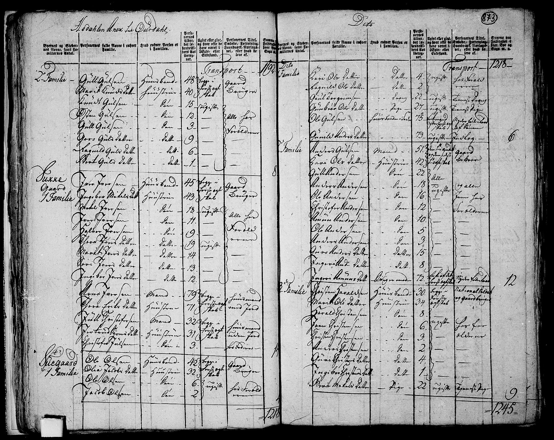 RA, 1801 census for 0542P Aurdal, 1801, p. 872b-873a