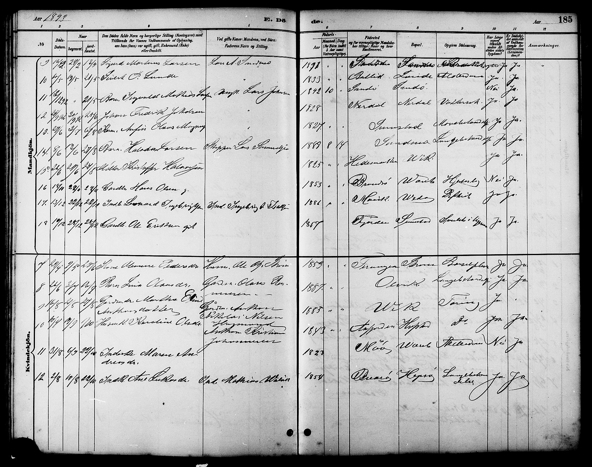 Ministerialprotokoller, klokkerbøker og fødselsregistre - Sør-Trøndelag, AV/SAT-A-1456/657/L0716: Parish register (copy) no. 657C03, 1889-1904, p. 185