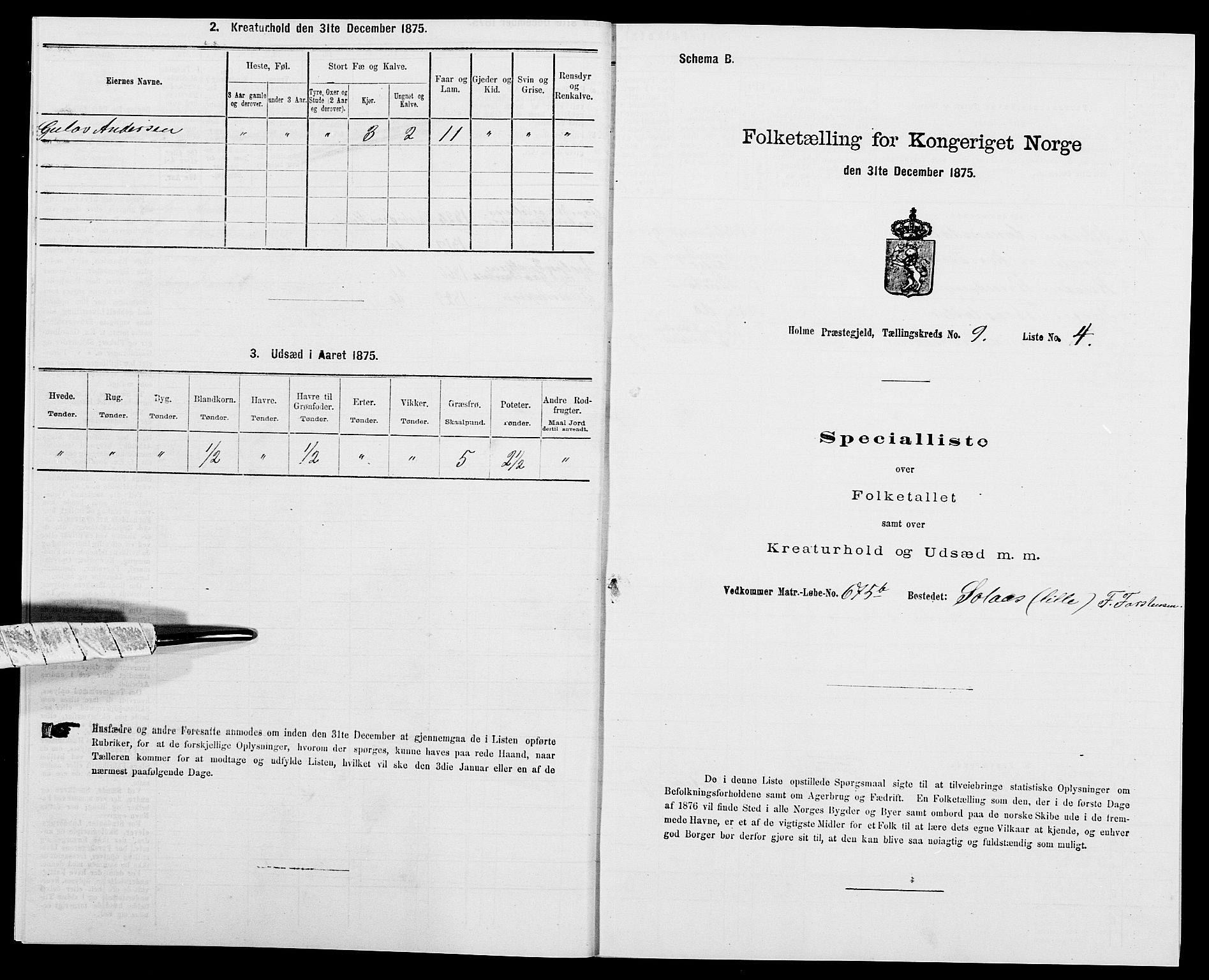 SAK, 1875 census for 1020P Holum, 1875, p. 965