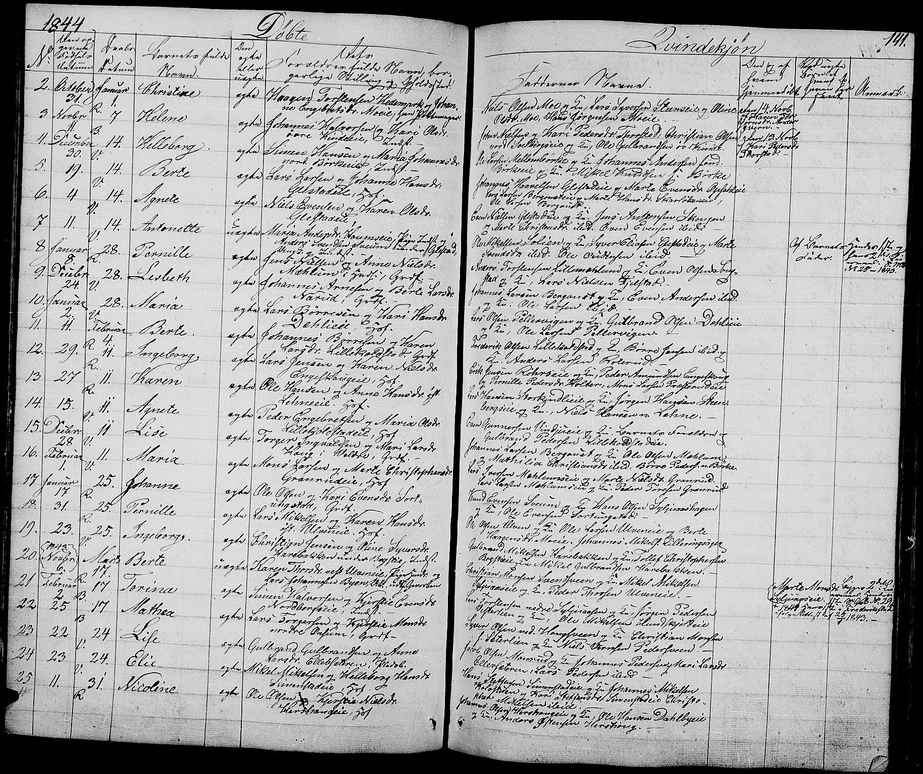 Ringsaker prestekontor, AV/SAH-PREST-014/L/La/L0005: Parish register (copy) no. 5, 1839-1850, p. 141