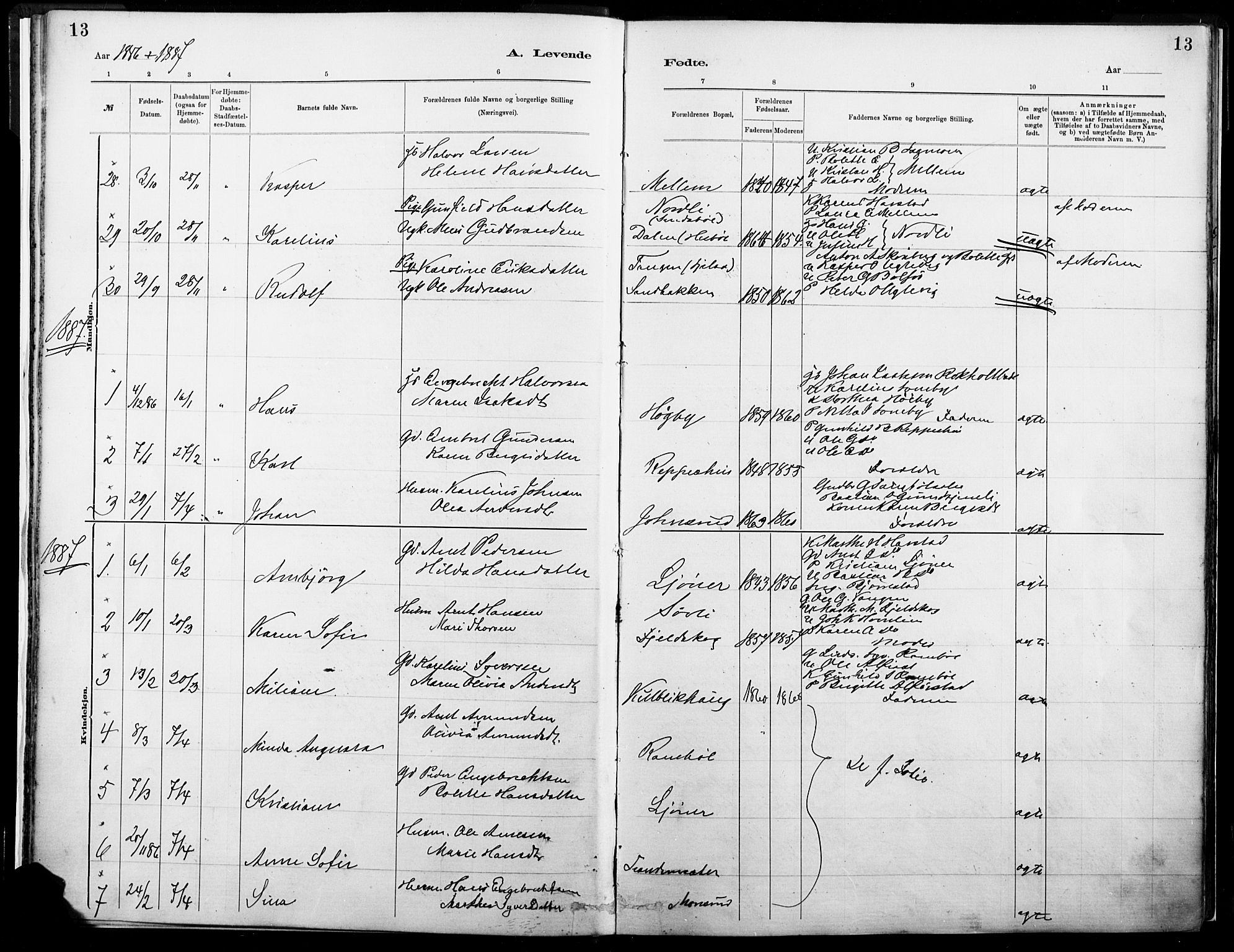 Eidskog prestekontor, SAH/PREST-026/H/Ha/Haa/L0004: Parish register (official) no. 4, 1884-1897, p. 13
