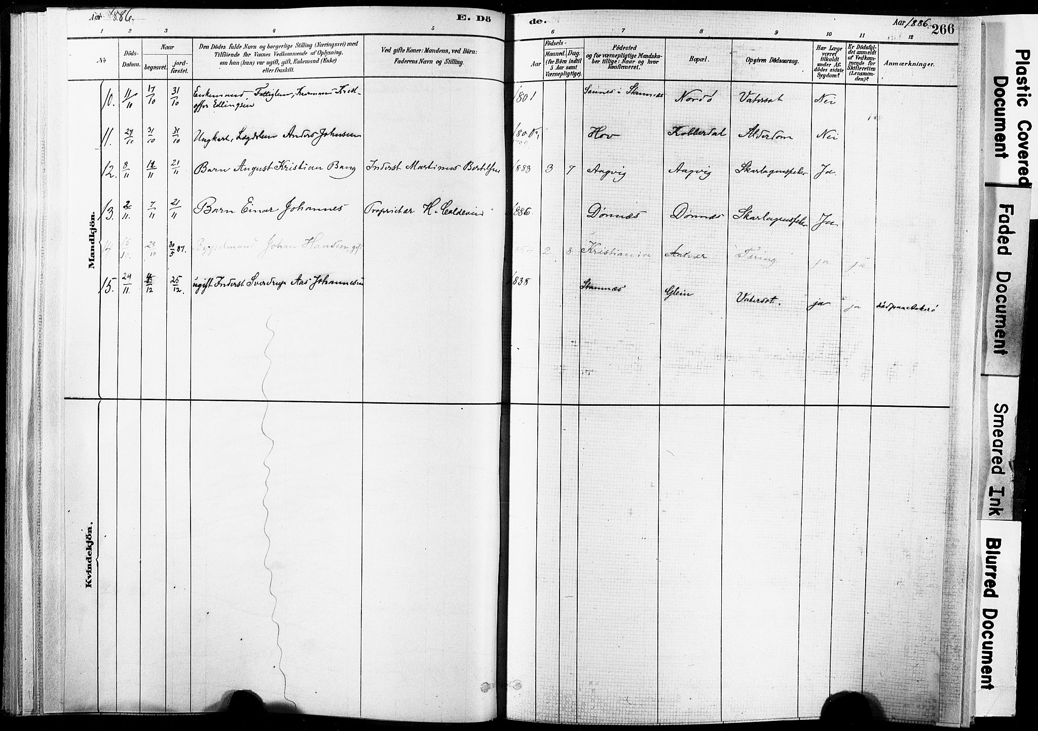 Ministerialprotokoller, klokkerbøker og fødselsregistre - Nordland, AV/SAT-A-1459/835/L0526: Parish register (official) no. 835A03II, 1881-1910, p. 266