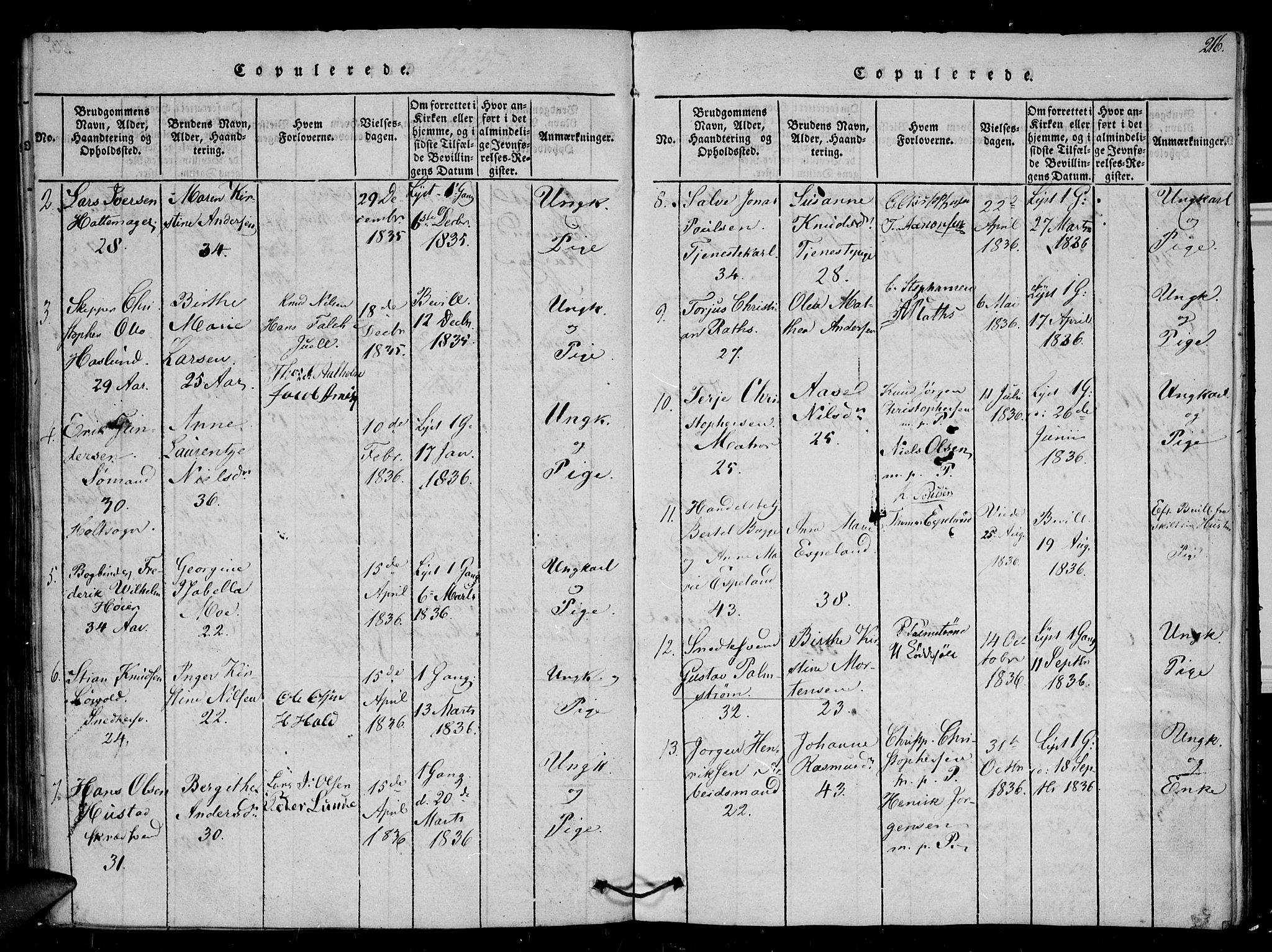 Arendal sokneprestkontor, Trefoldighet, AV/SAK-1111-0040/F/Fb/L0001: Parish register (copy) no. B 1, 1816-1838, p. 216