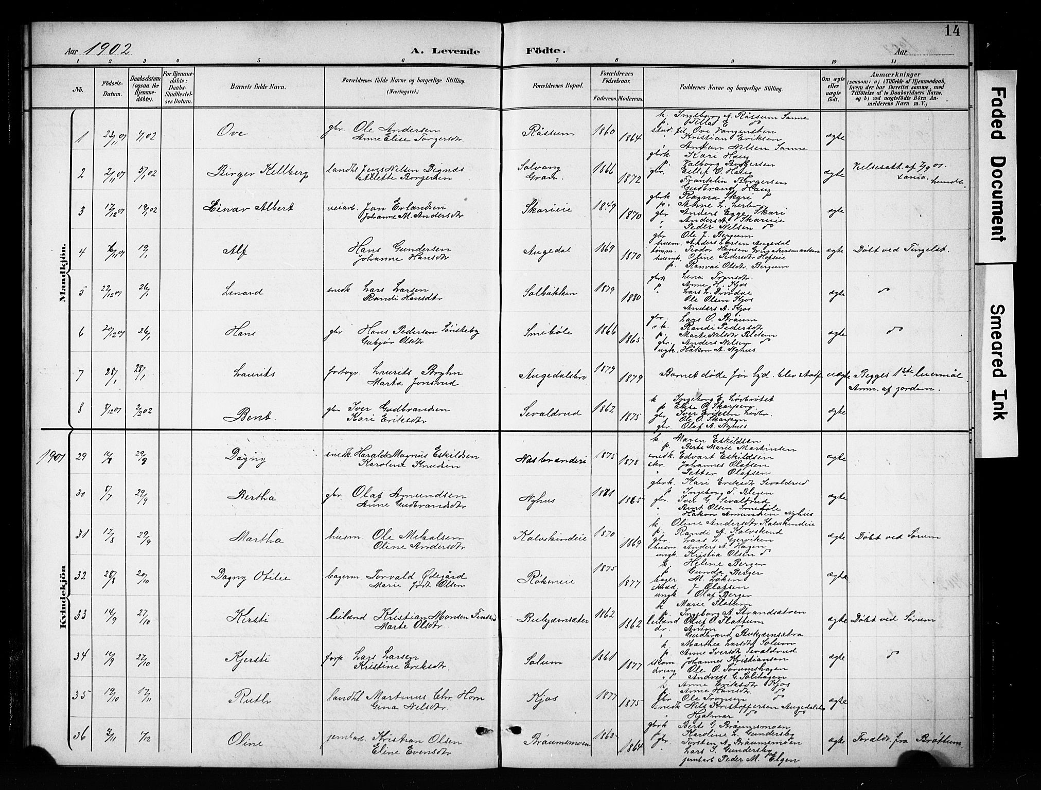 Brandbu prestekontor, SAH/PREST-114/H/Ha/Hab/L0005: Parish register (copy) no. 5, 1900-1913, p. 14