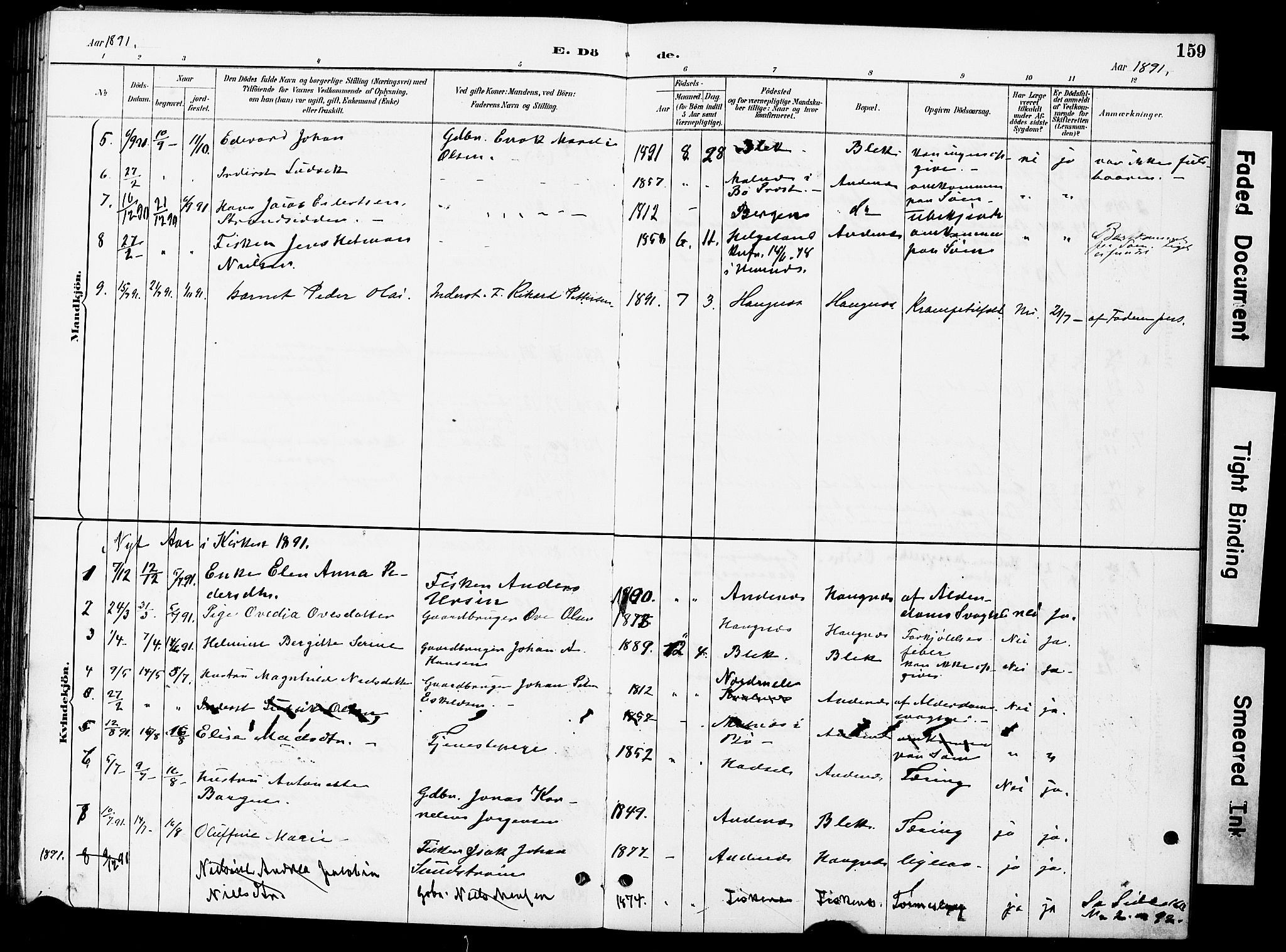 Ministerialprotokoller, klokkerbøker og fødselsregistre - Nordland, AV/SAT-A-1459/899/L1448: Parish register (copy) no. 899C03, 1887-1902, p. 159